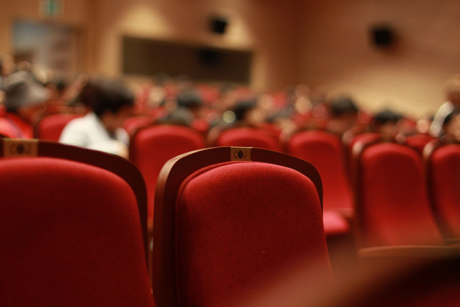 Canon EOS 50D sample photo. Chair, auditorium, onlookers photography