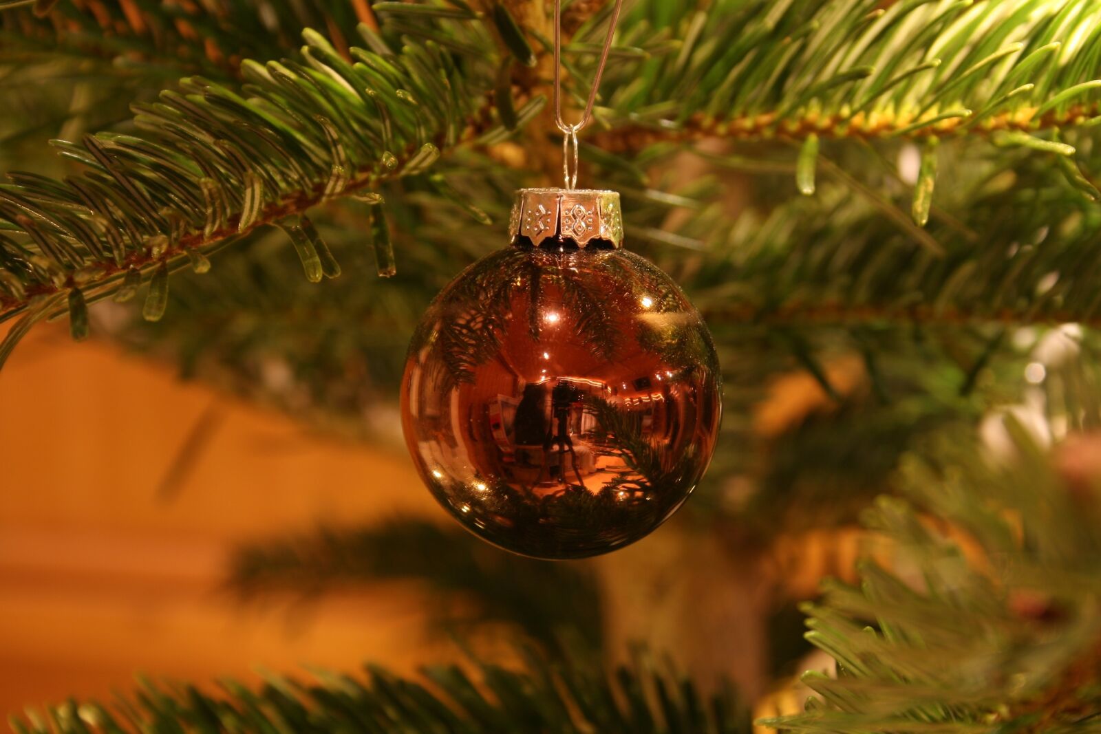 Canon EOS 400D (EOS Digital Rebel XTi / EOS Kiss Digital X) sample photo. Christmas, fir tree, christmas photography