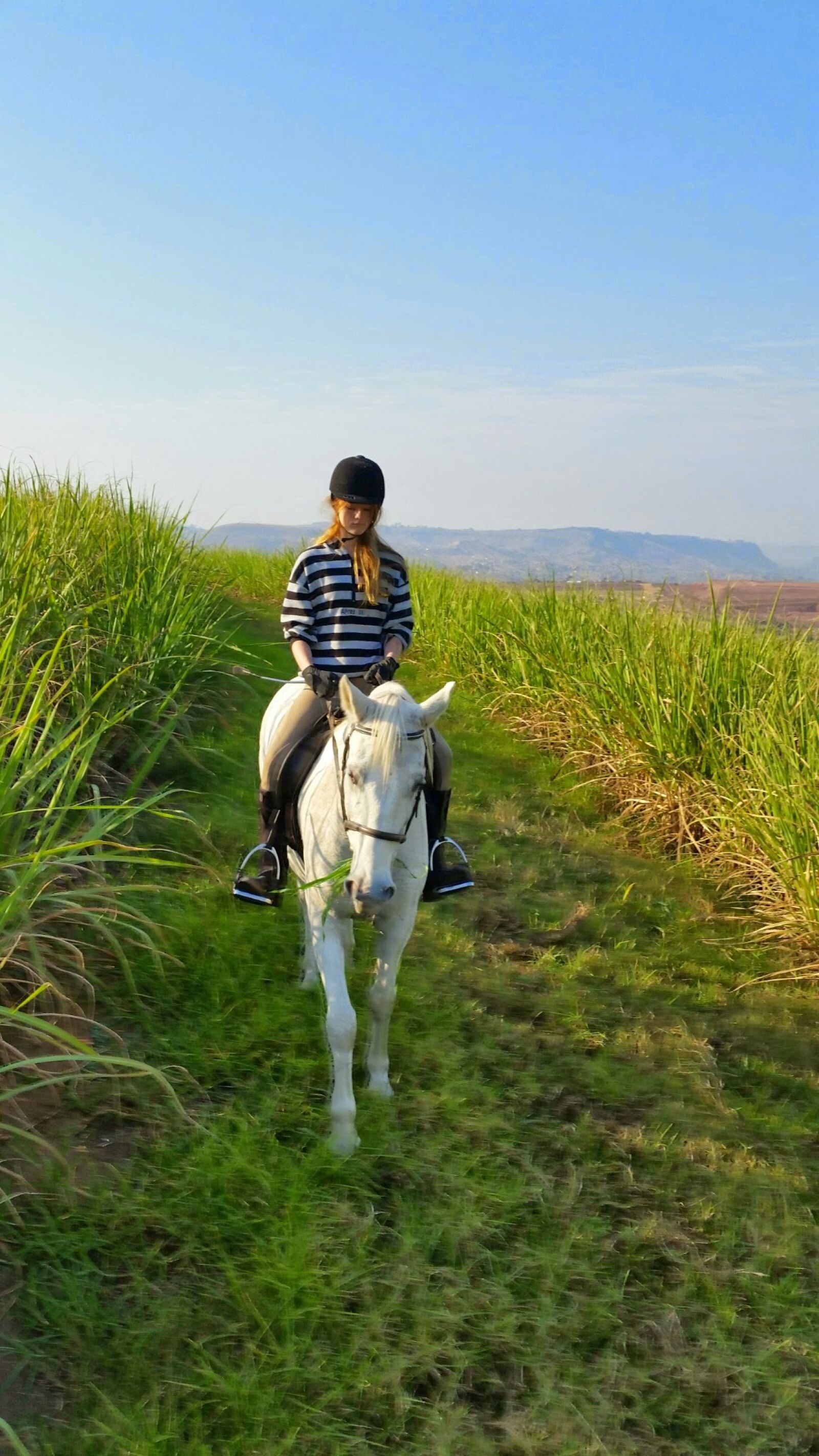 Samsung Galaxy S5 sample photo. Girl, on, a, horse photography