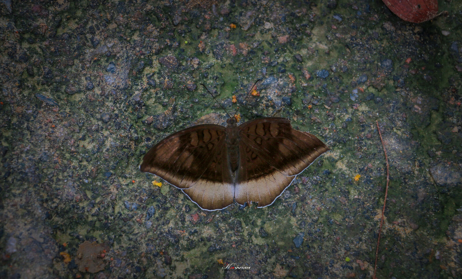 Canon EOS 70D sample photo