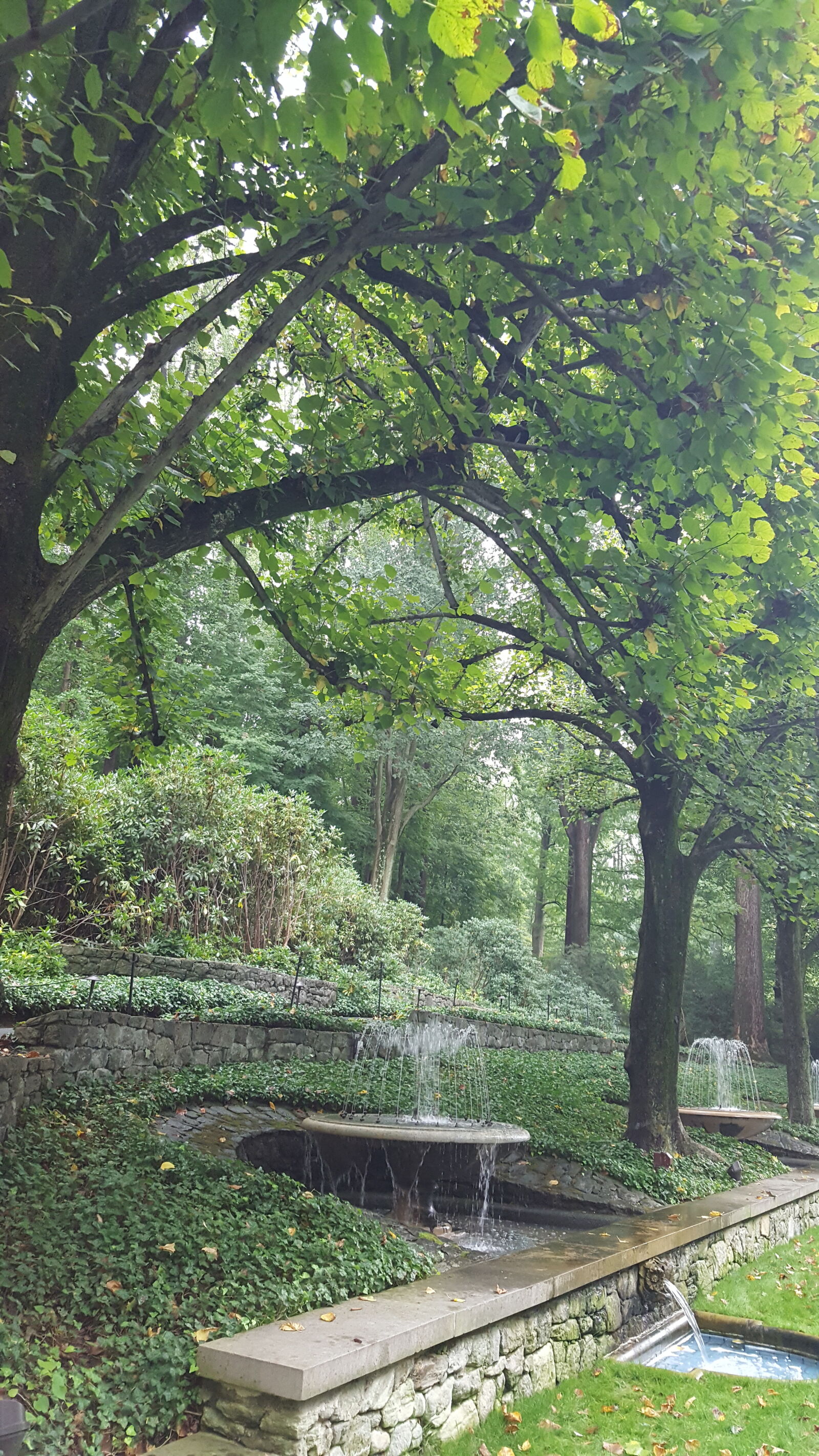 Samsung Galaxy S6 sample photo. Scenery, water, fountain photography