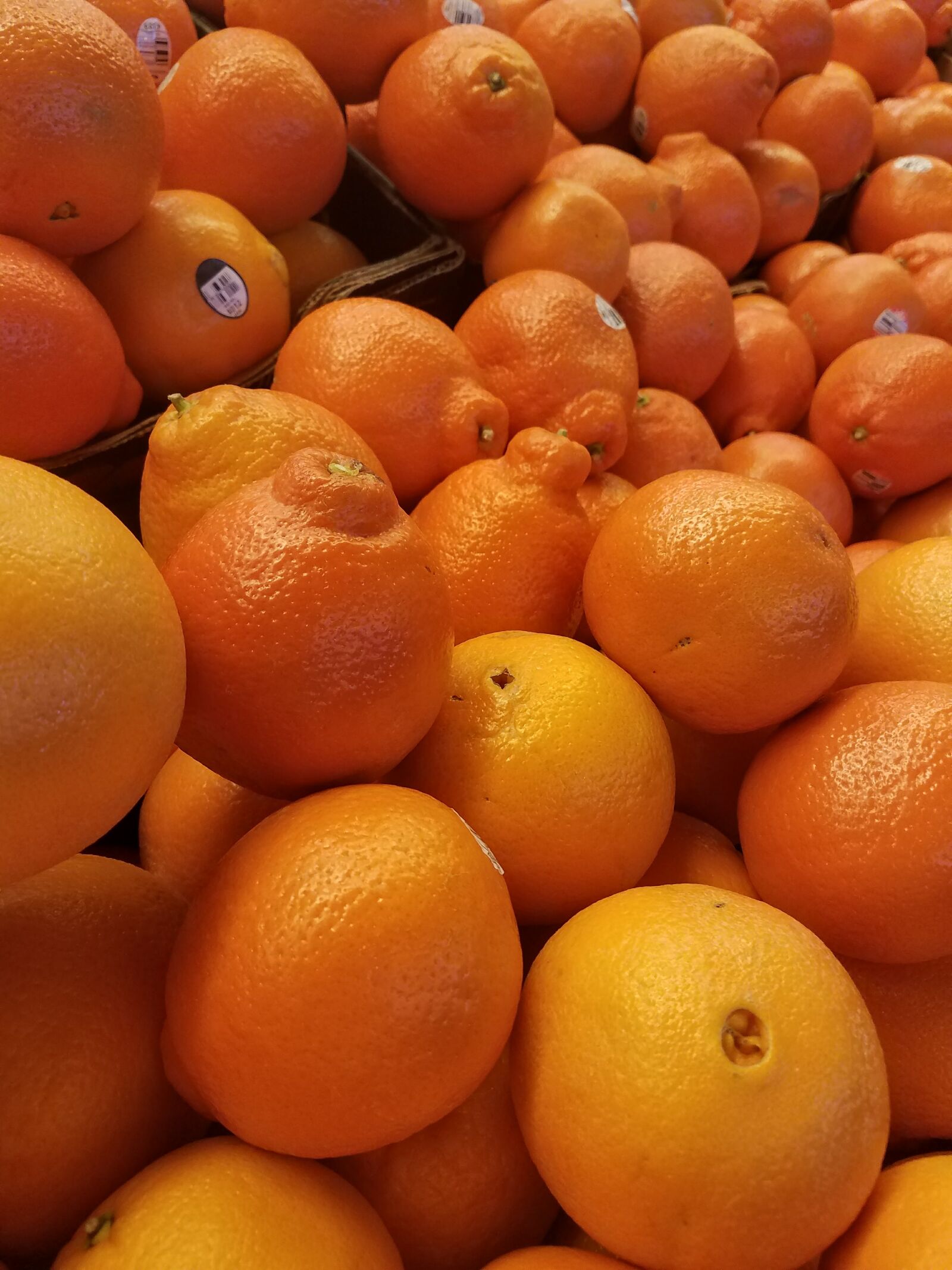 Samsung Galaxy S7 Edge sample photo. Fruit, orange, oranges photography
