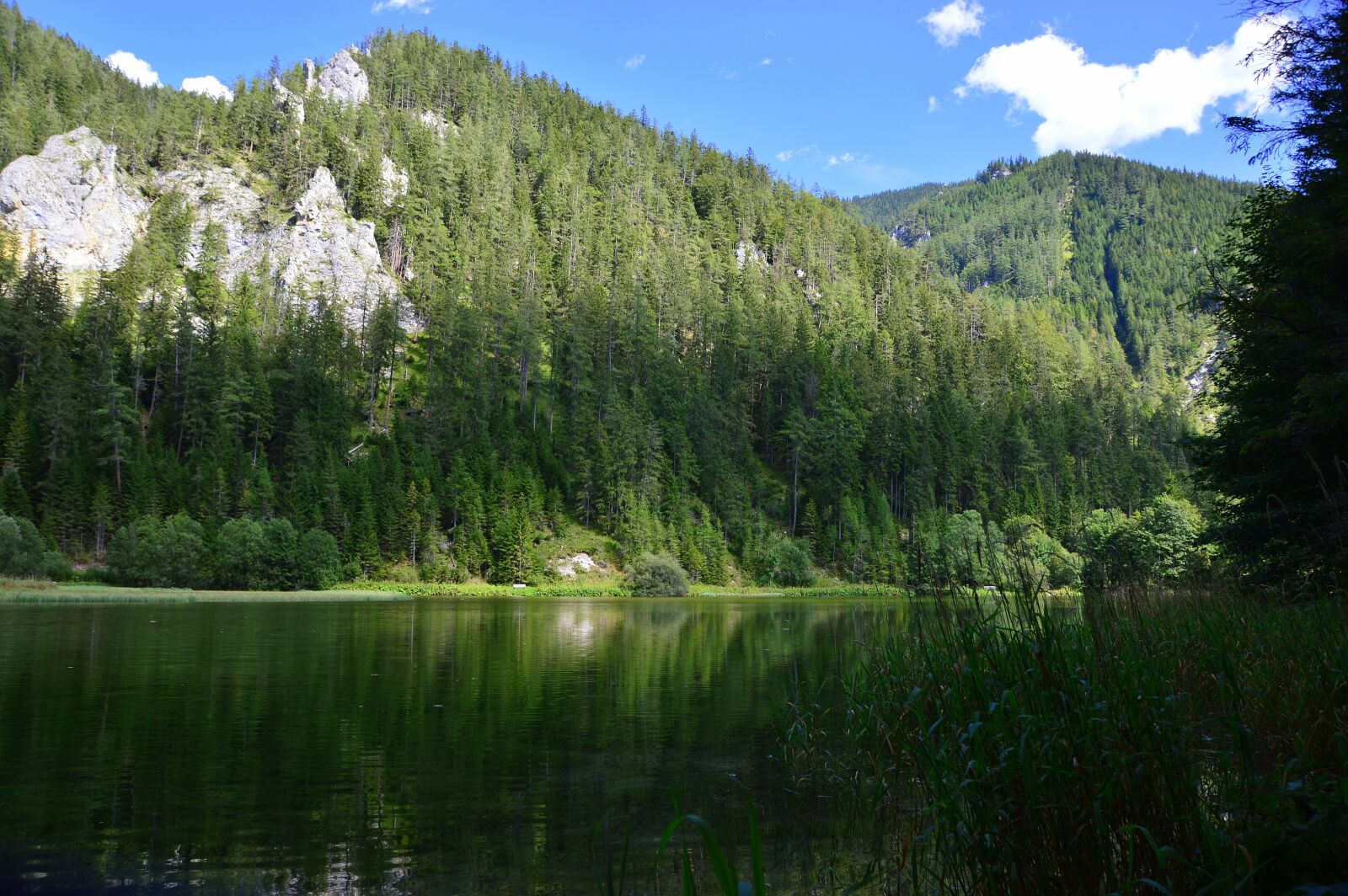 Nikon D3200 sample photo. Mountains, green, austria photography