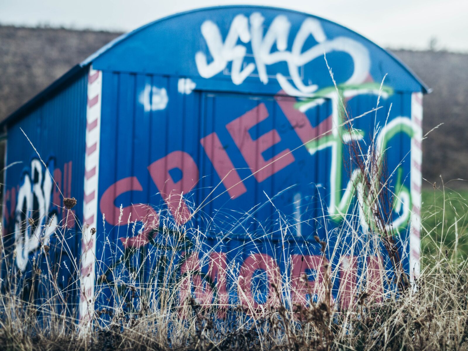 Olympus OM-D E-M10 II + Olympus M.Zuiko Digital 45mm F1.8 sample photo. Bauwagen, graffiti, overgrown photography