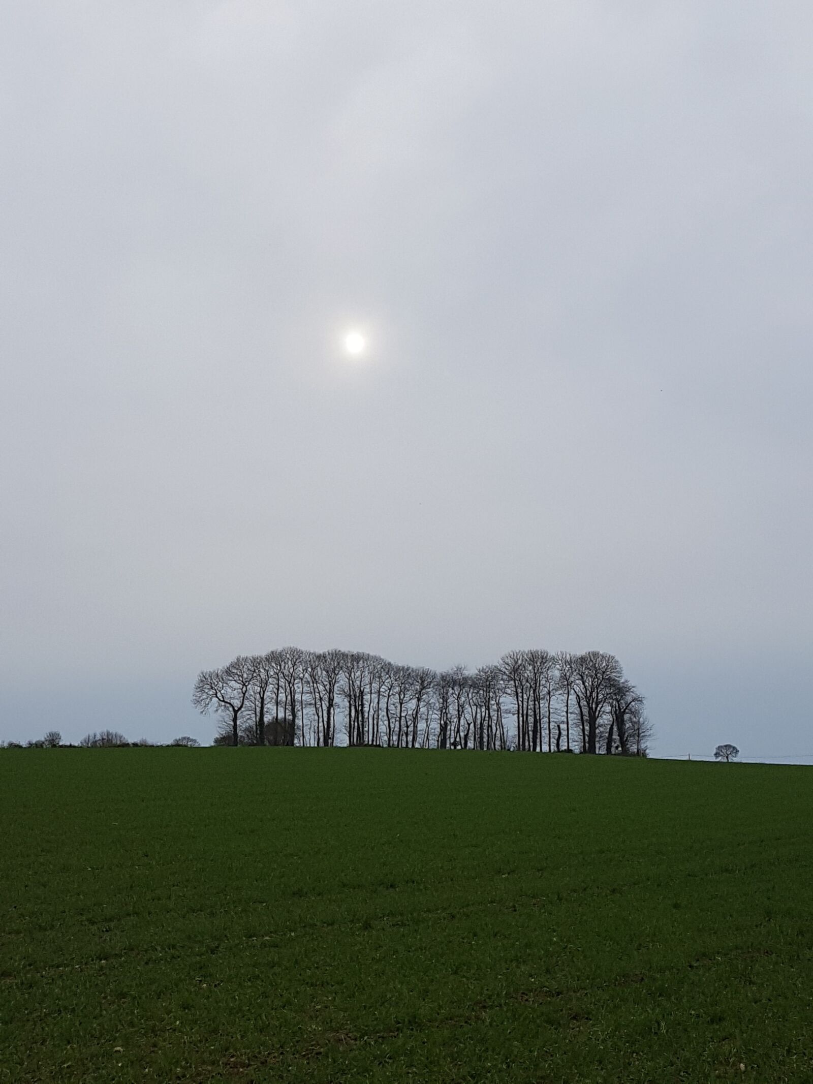 Samsung Galaxy S7 sample photo. Campagne, champ, arbres photography