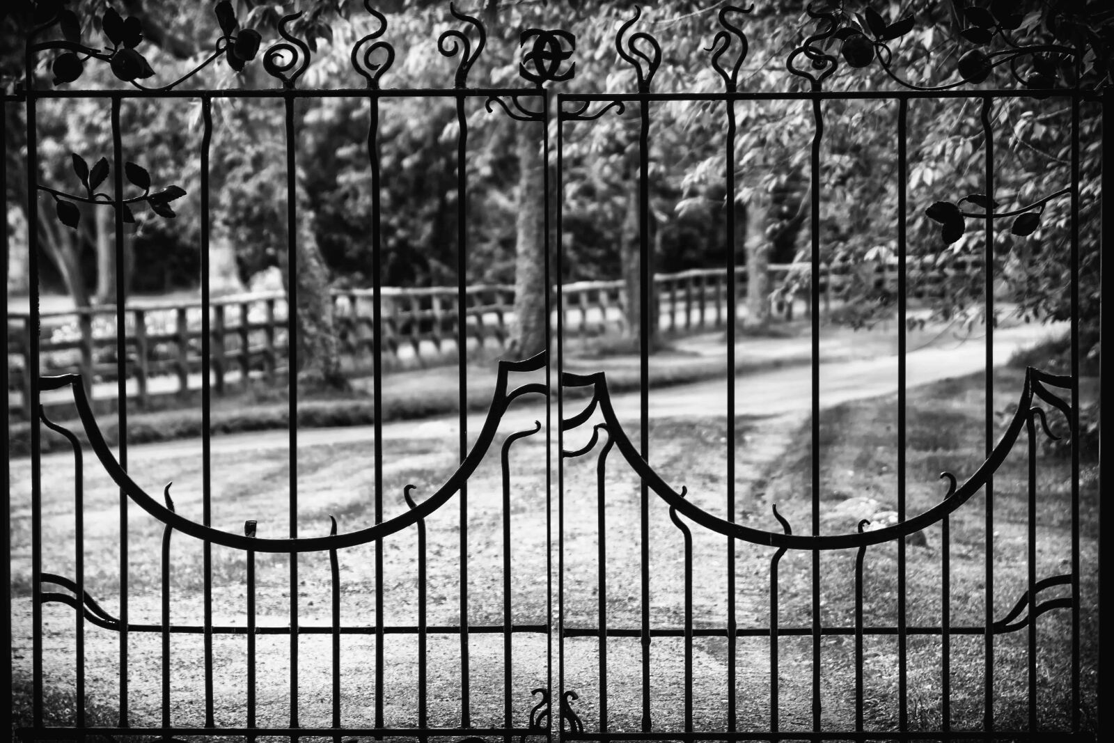 Nikon D3300 sample photo. Iron, fence, cage, gate photography