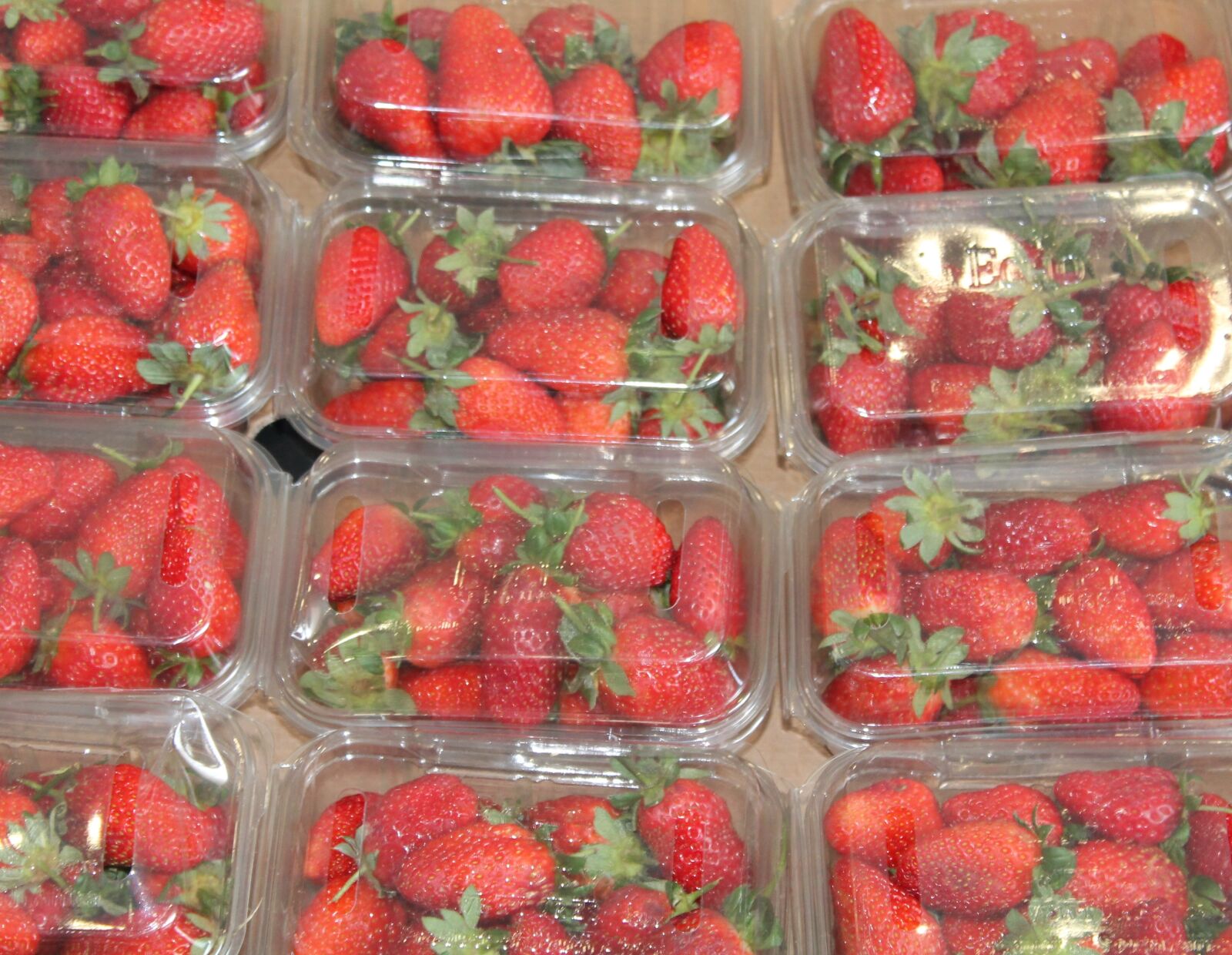 Canon EF-S 18-55mm F3.5-5.6 IS sample photo. Food, fresh, fruit photography