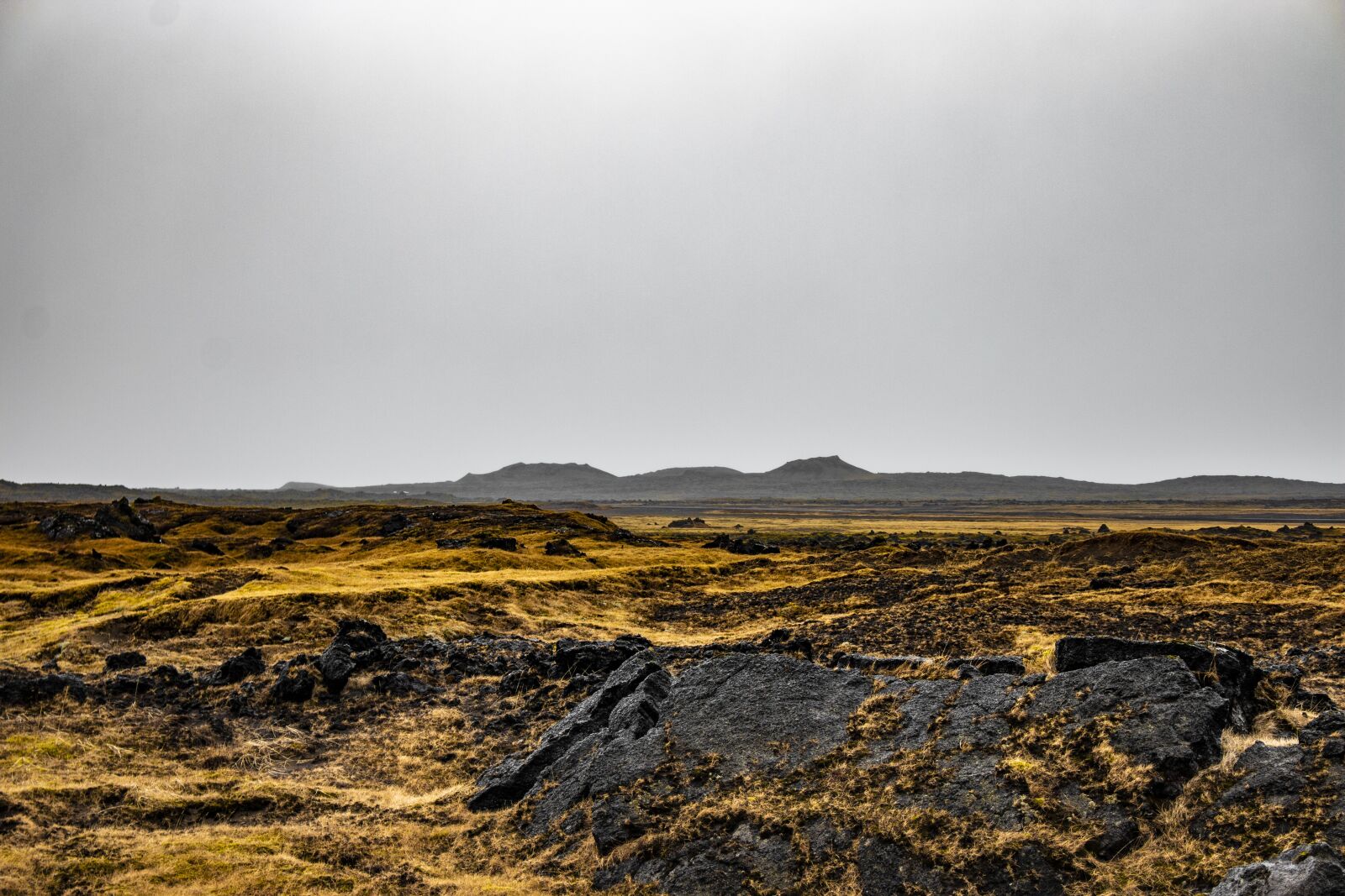 Canon EOS 70D sample photo. Iceland, moss, landscape photography