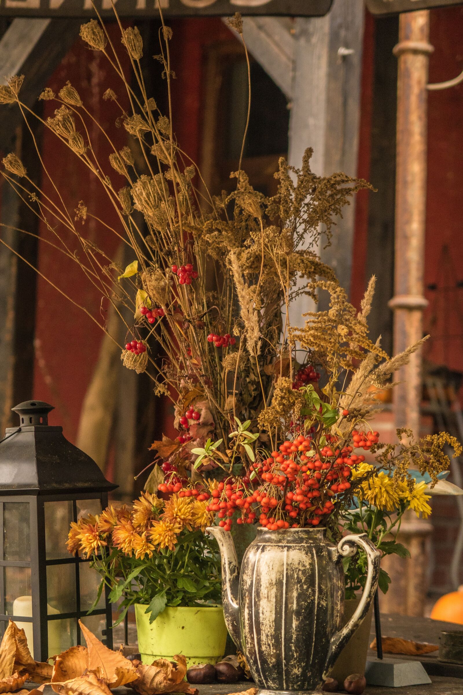 Canon PowerShot G7 X sample photo. Strauss, still life, bloom photography