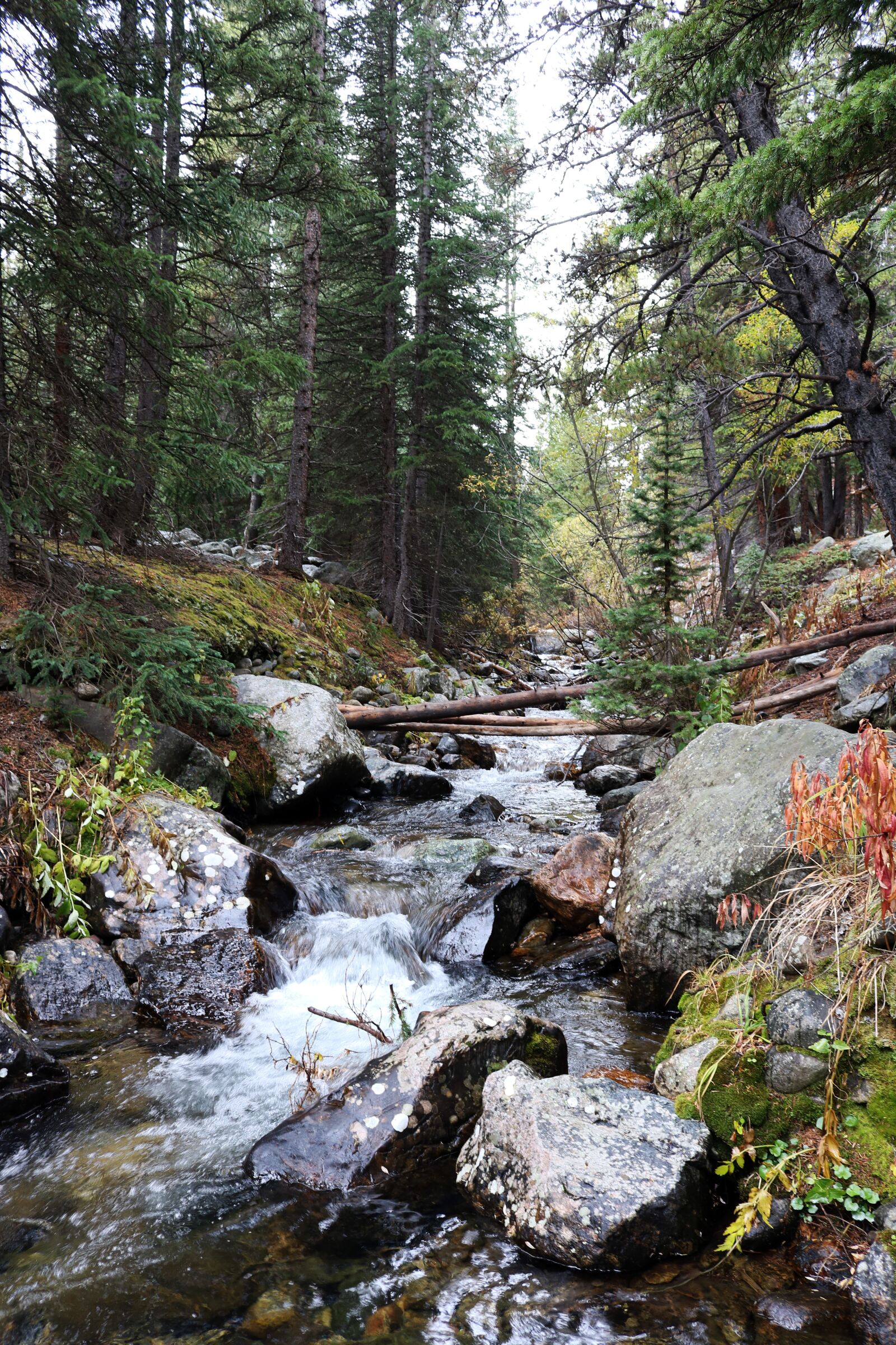 Canon EOS 750D (EOS Rebel T6i / EOS Kiss X8i) sample photo. Stream, forest, landscape photography