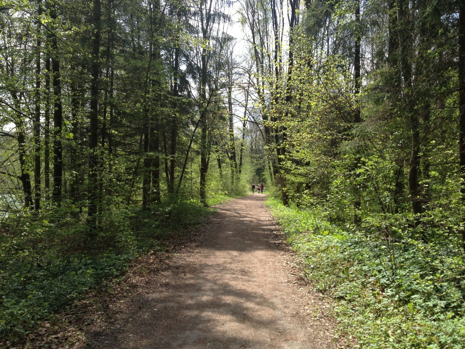 Apple iPhone 4S sample photo. Forest, away, path photography