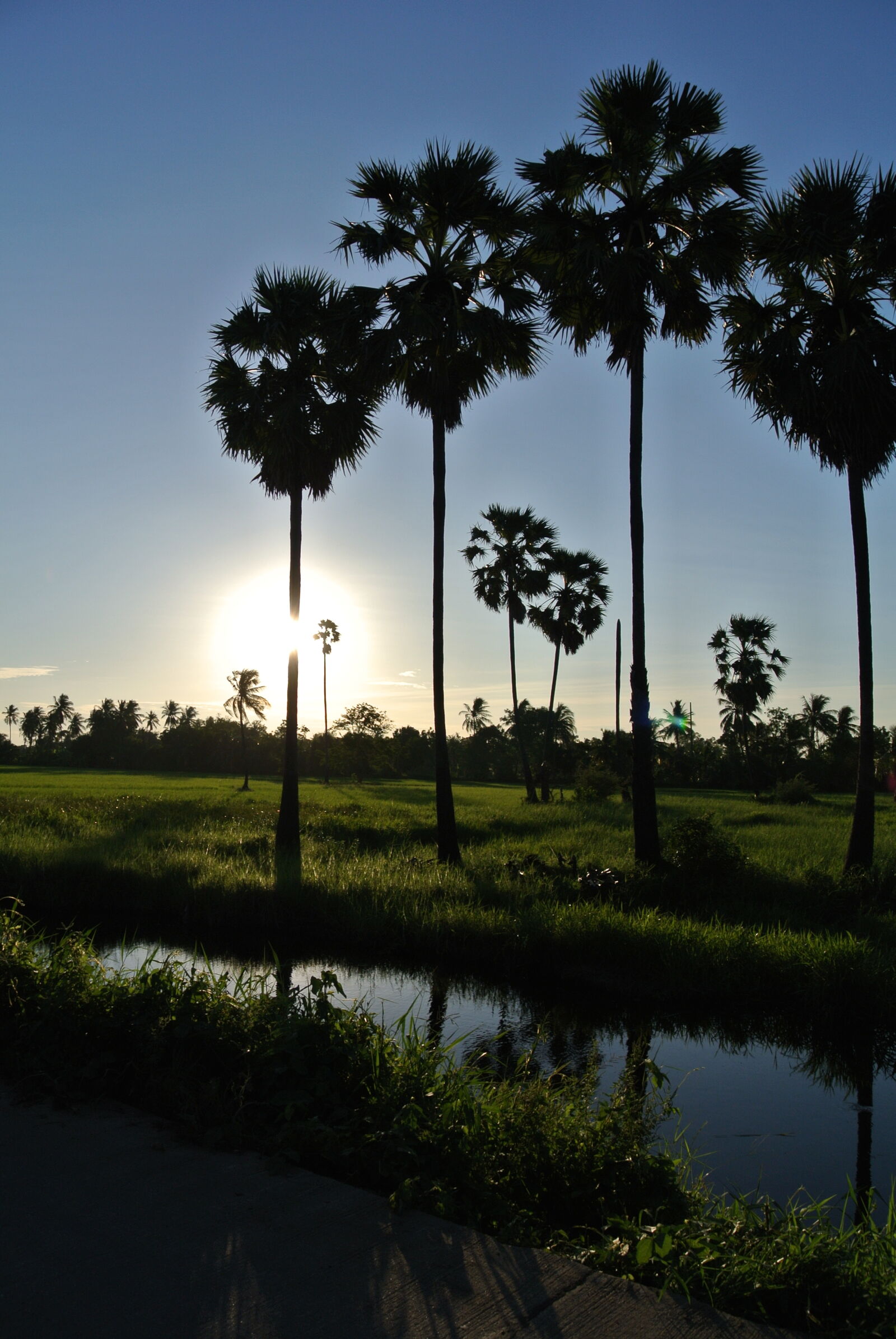 Nikon 1 J1 sample photo. Landscape photography
