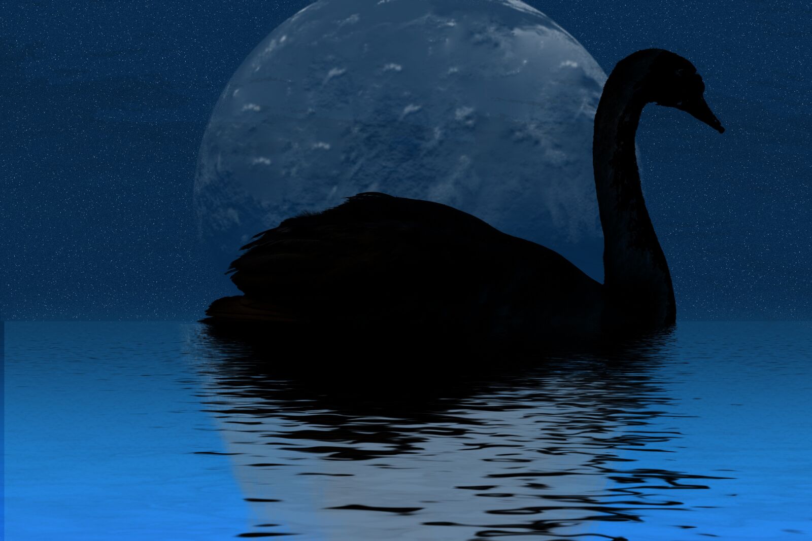 Canon EOS 1000D (EOS Digital Rebel XS / EOS Kiss F) sample photo. Swan, lake, water photography