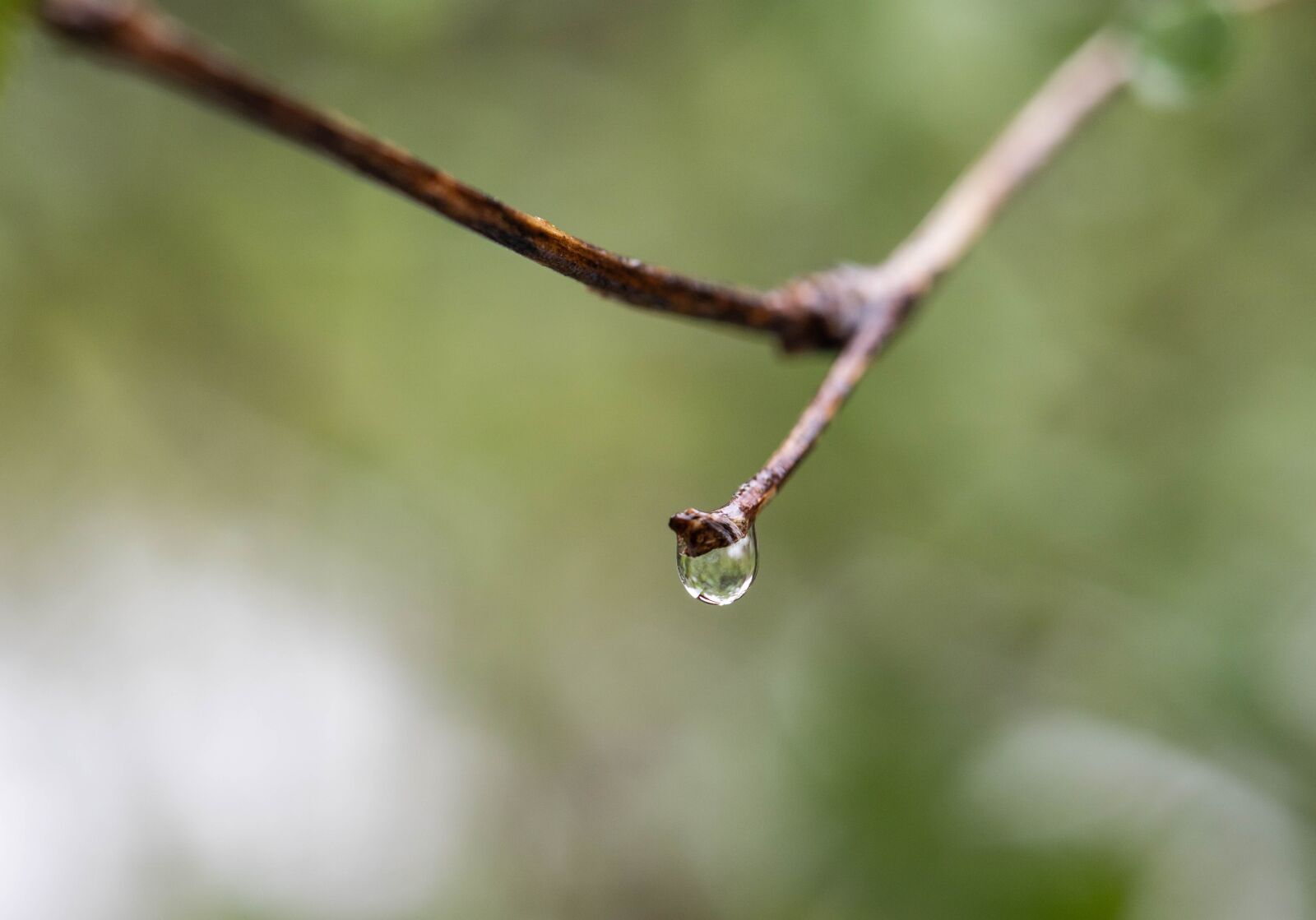 Canon EOS 6D Mark II sample photo. Water, drip, rain photography