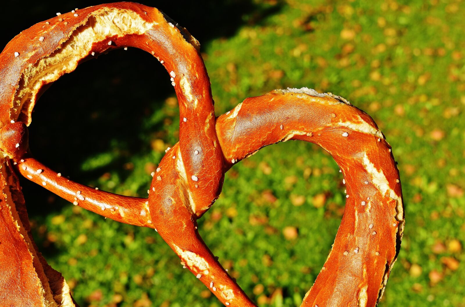 Nikon D7200 sample photo. Wiesnbreze, breze, pretzel photography