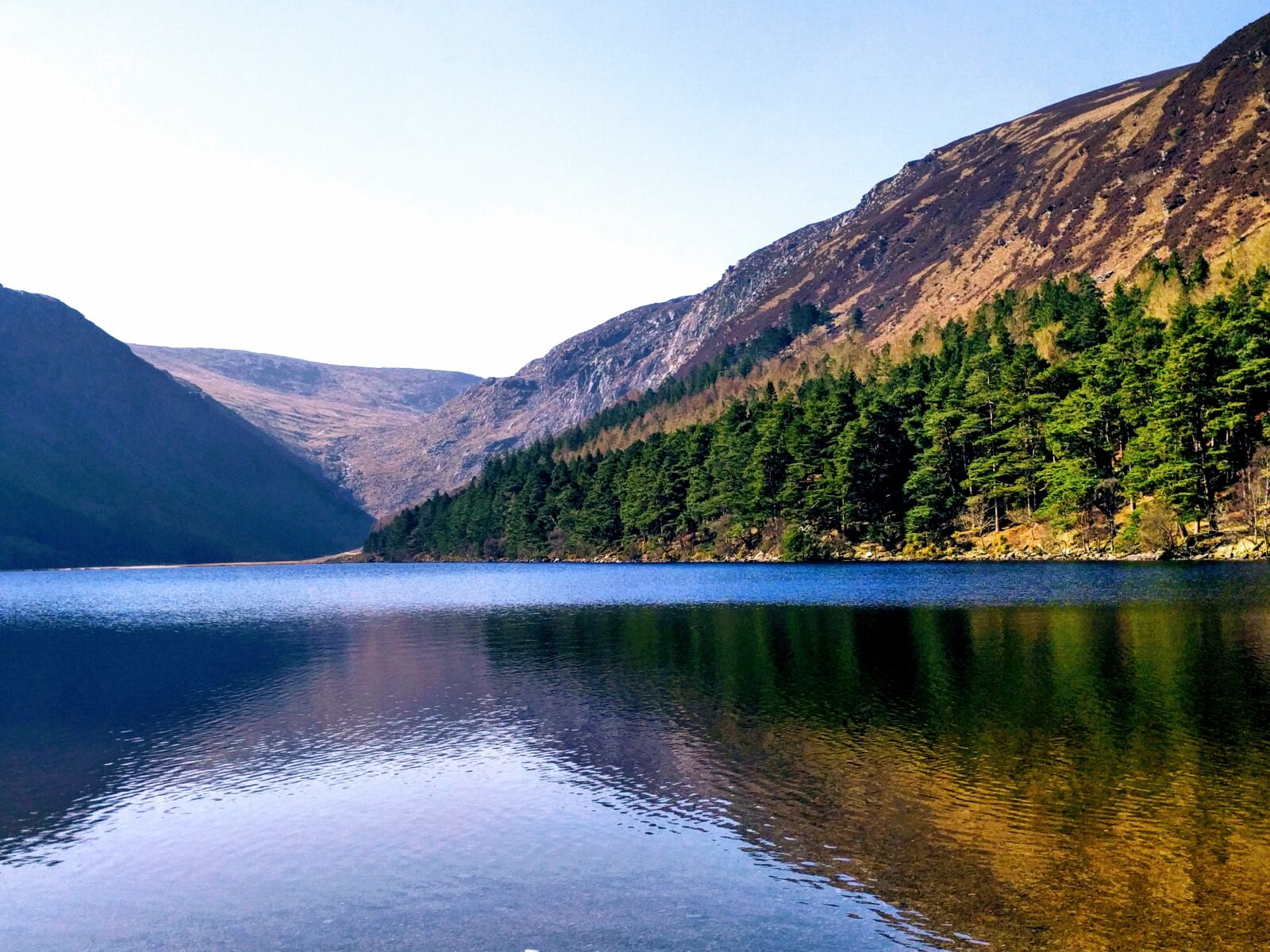 LG Nexus 5X sample photo. Ireland, wicklow, nature photography