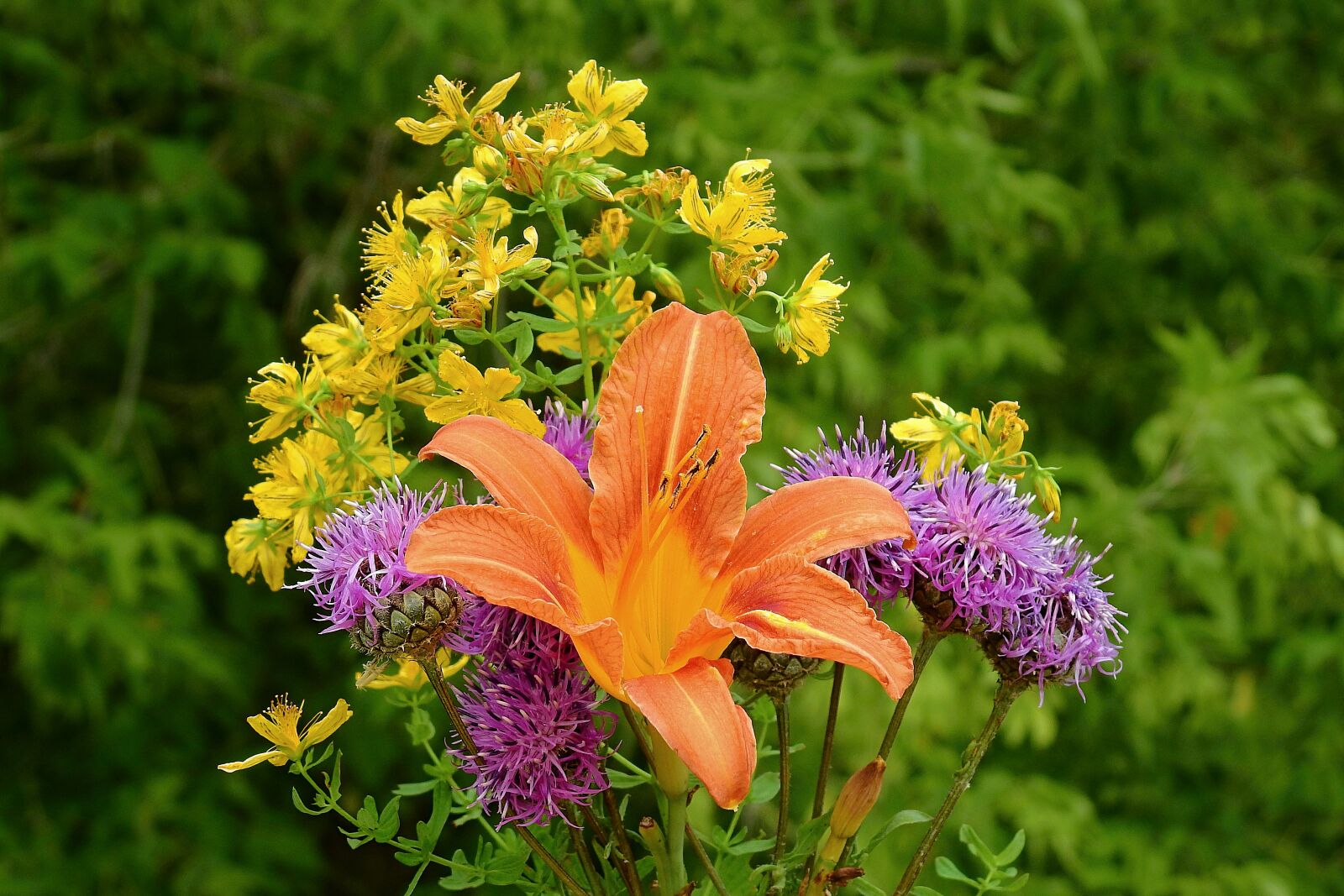 Nikon Coolpix P900 sample photo. Flowers, bouquet, beauty photography
