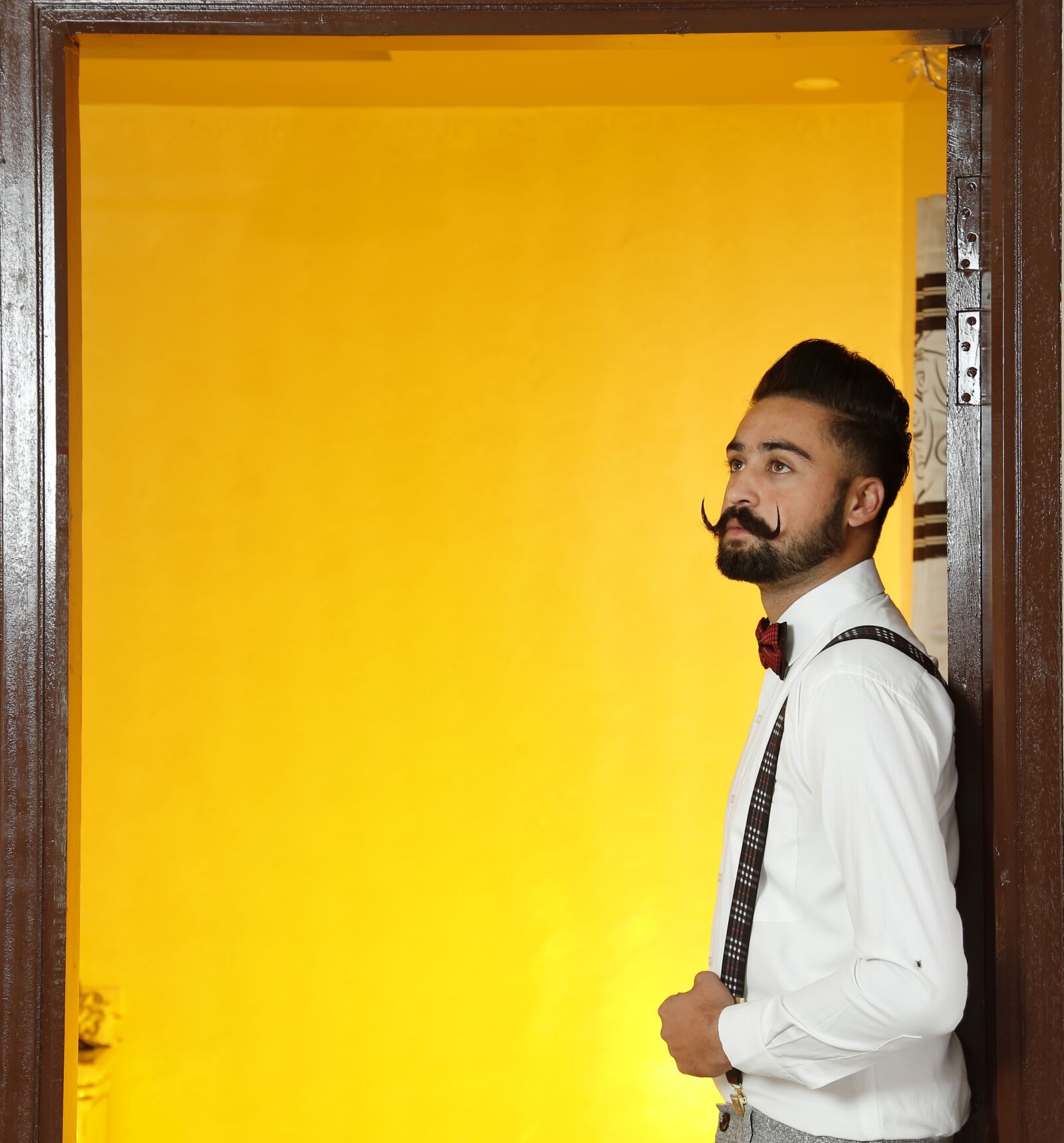 Canon EF 24-105mm F4L IS USM sample photo. Mustache, looks, look photography