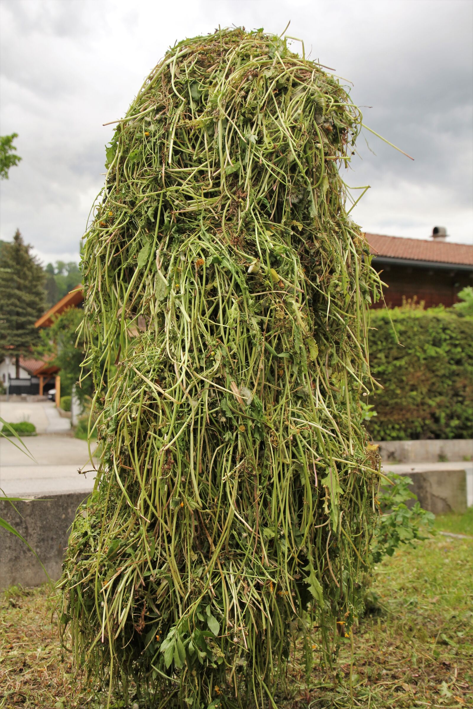 Canon EOS 60D sample photo. Heumandl, hay, drying photography