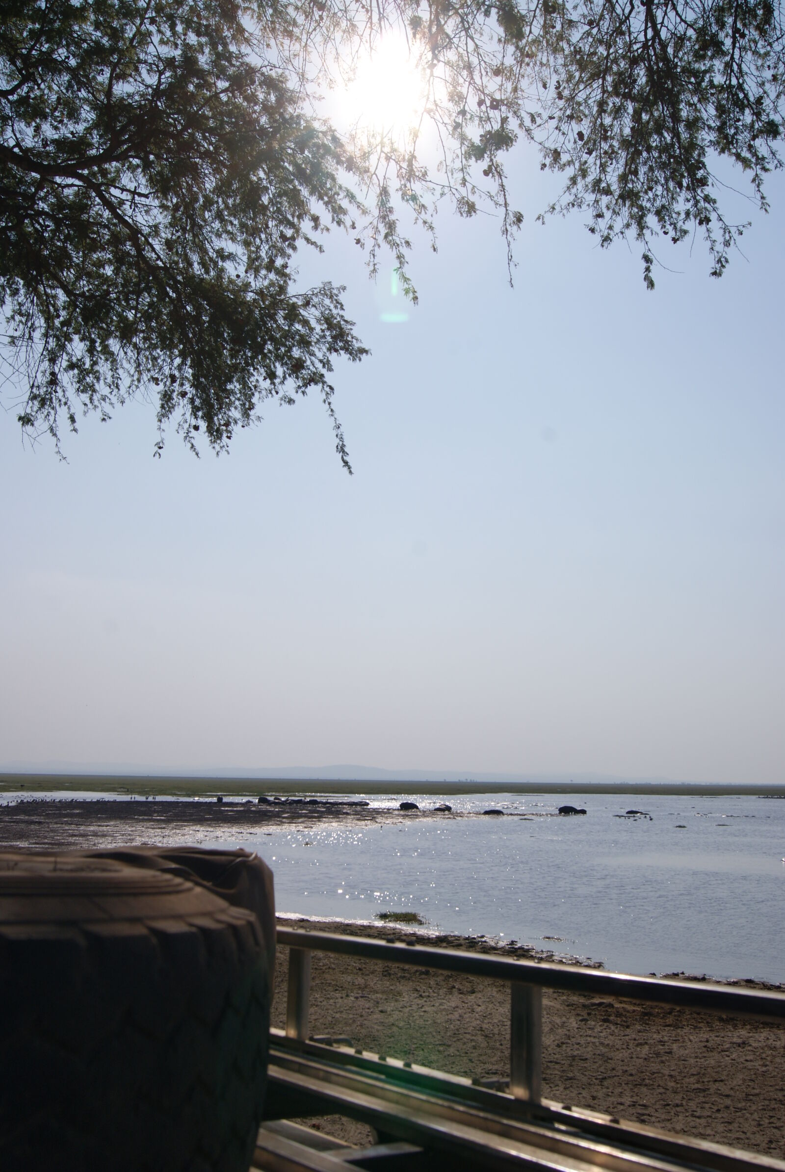 Sony Alpha DSLR-A230 sample photo. Car, lake, roof, safari photography