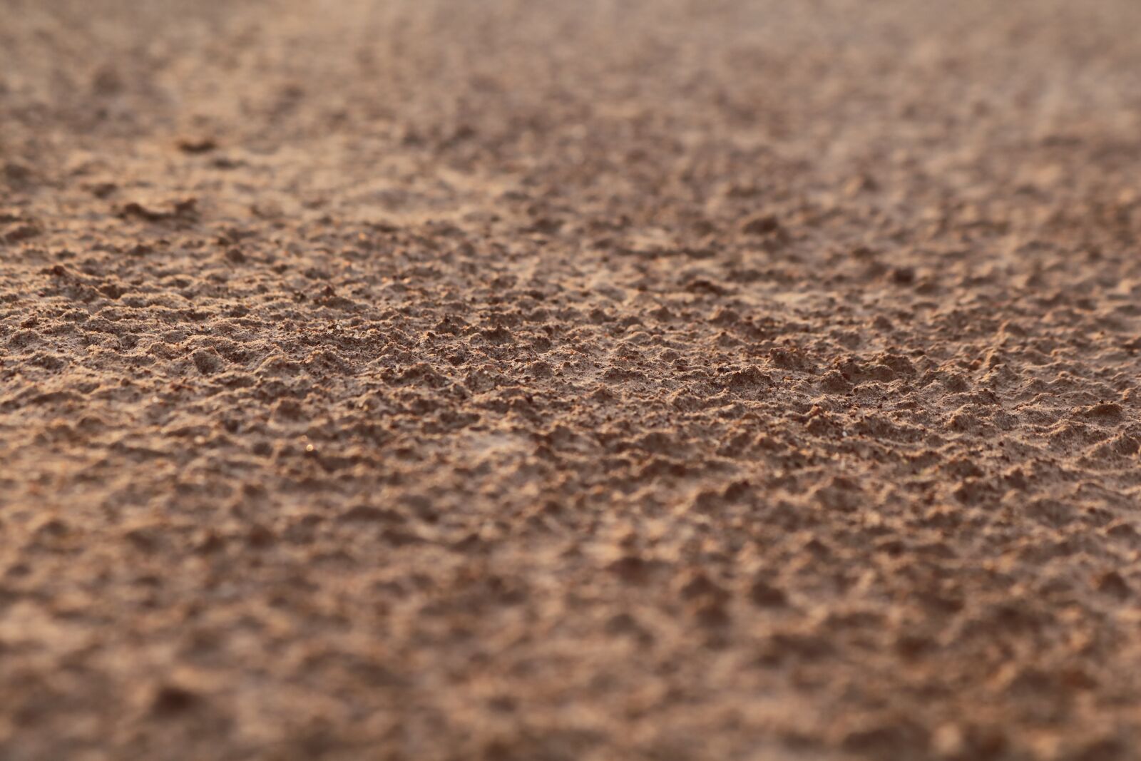 Canon EOS 750D (EOS Rebel T6i / EOS Kiss X8i) sample photo. Soil, in the sand photography
