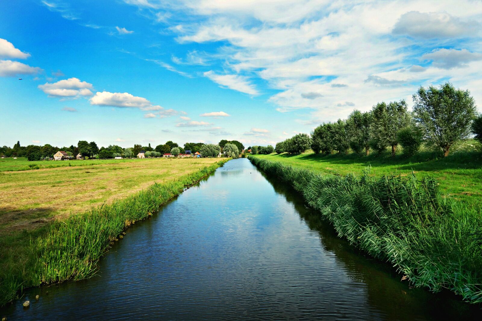 Sony Cyber-shot DSC-RX100 sample photo. Dutch landscape, polder, meadows photography