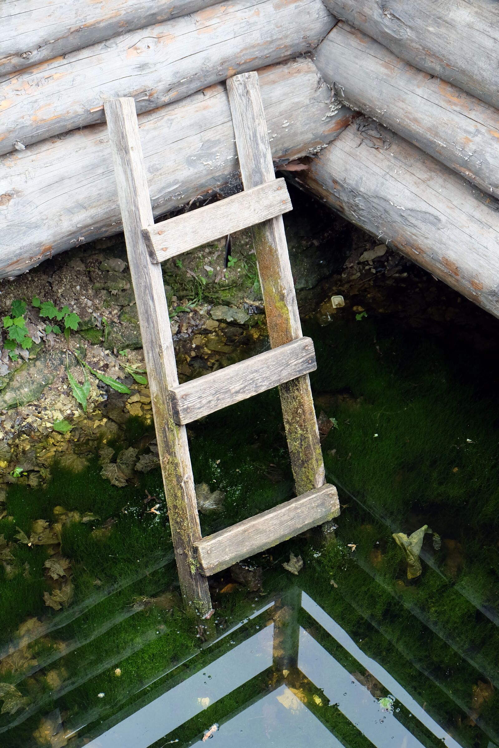 Fujifilm X-A2 + Fujifilm XC 16-50mm F3.5-5.6 OIS II sample photo. Well, ladder, overgrown photography