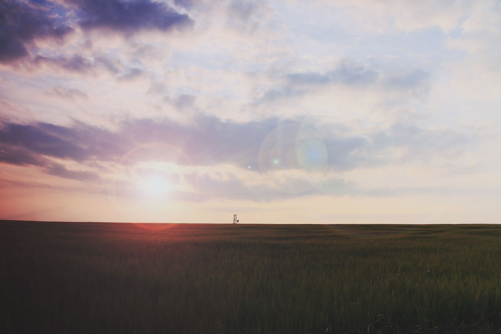 Canon EOS 70D sample photo. Field, landscape, sunrise, sunset photography