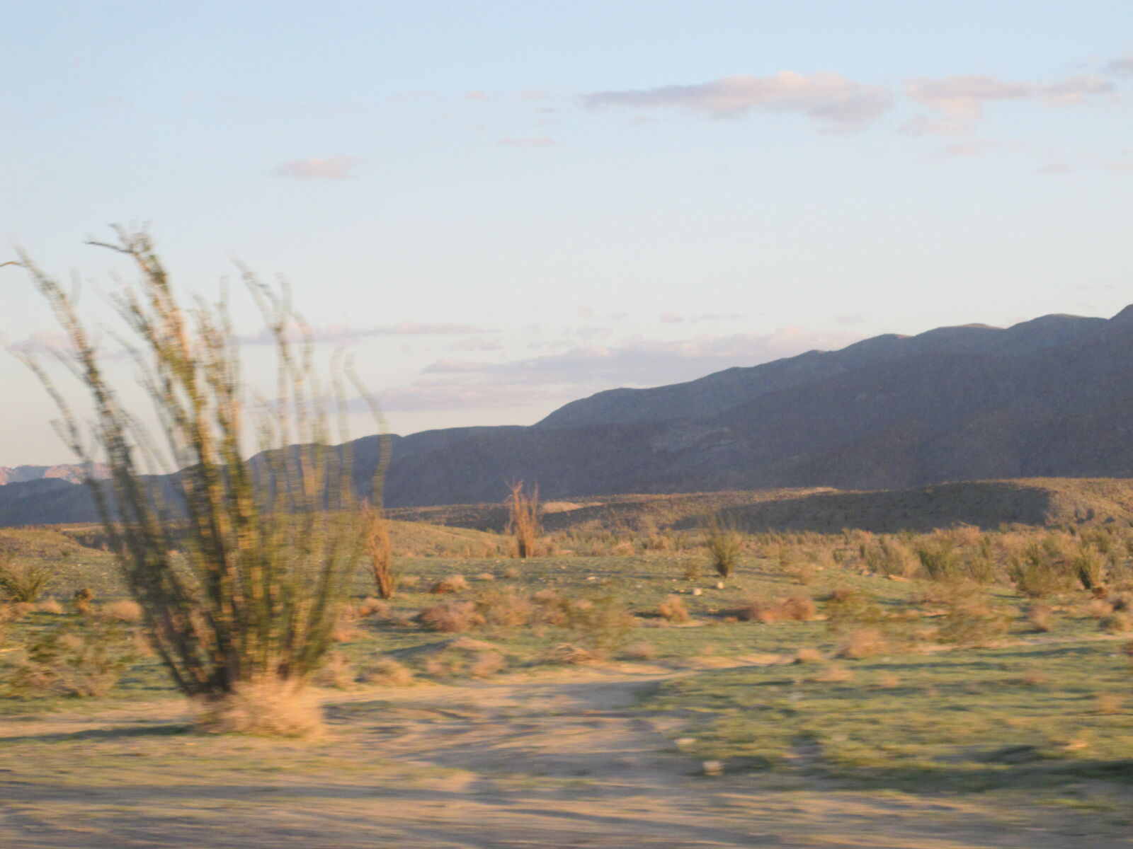 Canon PowerShot G11 sample photo. Blurry, california, desert, landscape photography