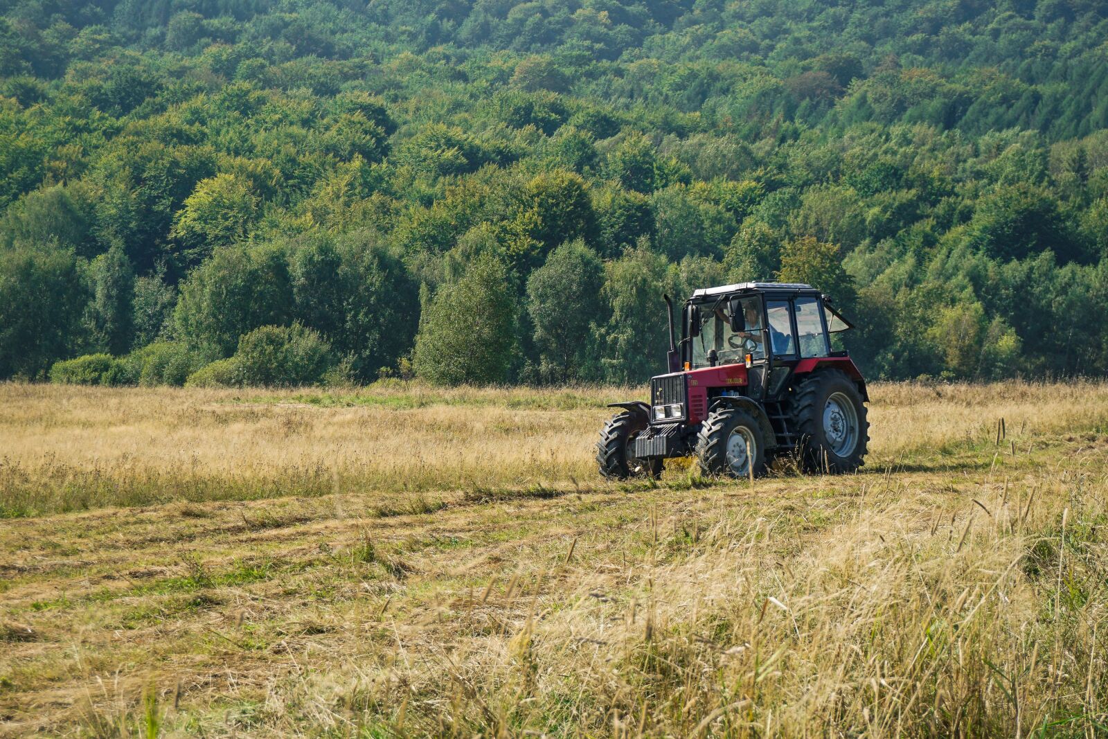Sony a6000 sample photo. Tractor, field, meadow photography