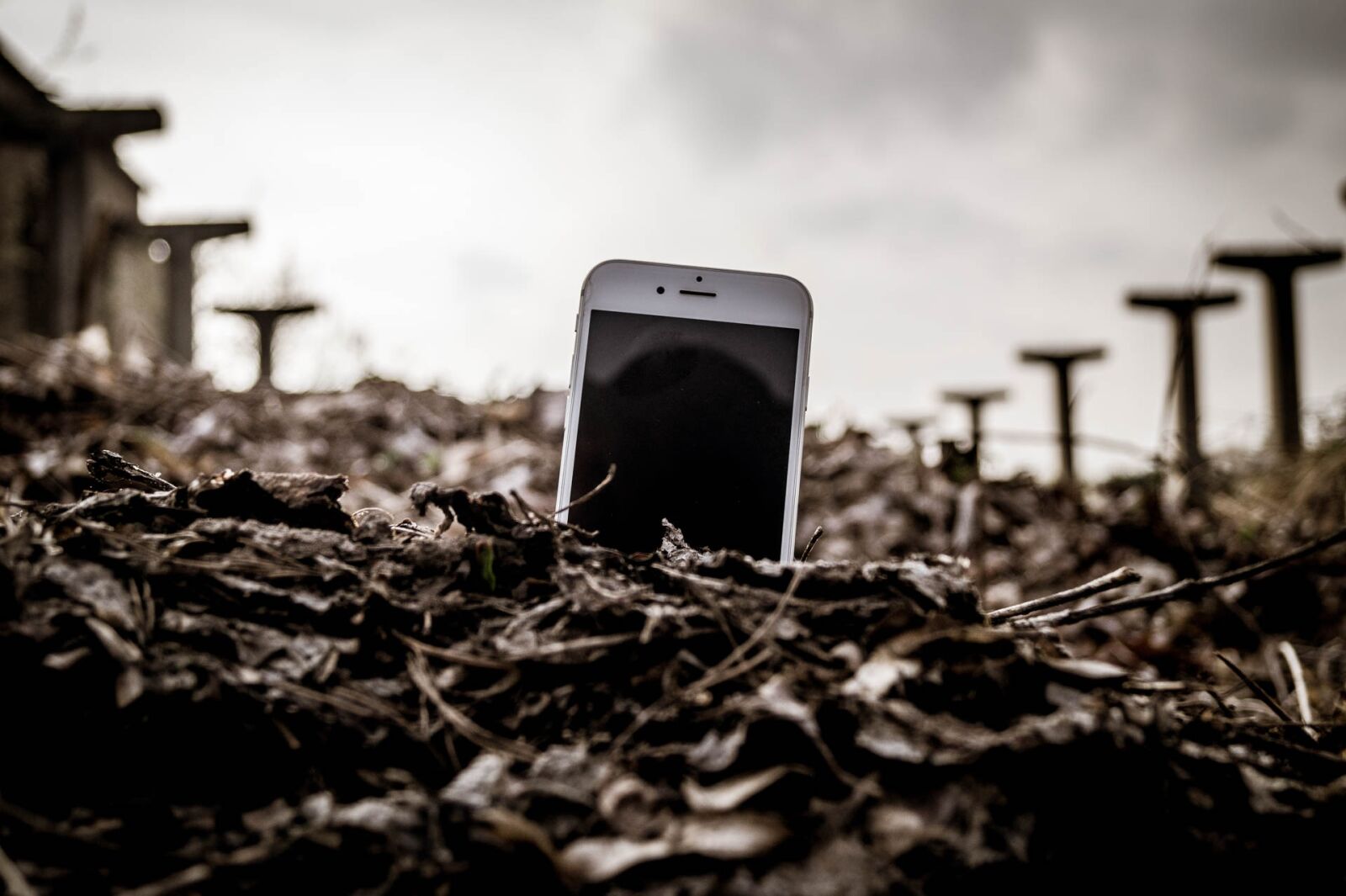 Sony SLT-A58 sample photo. Abstract, mobile phone, field photography