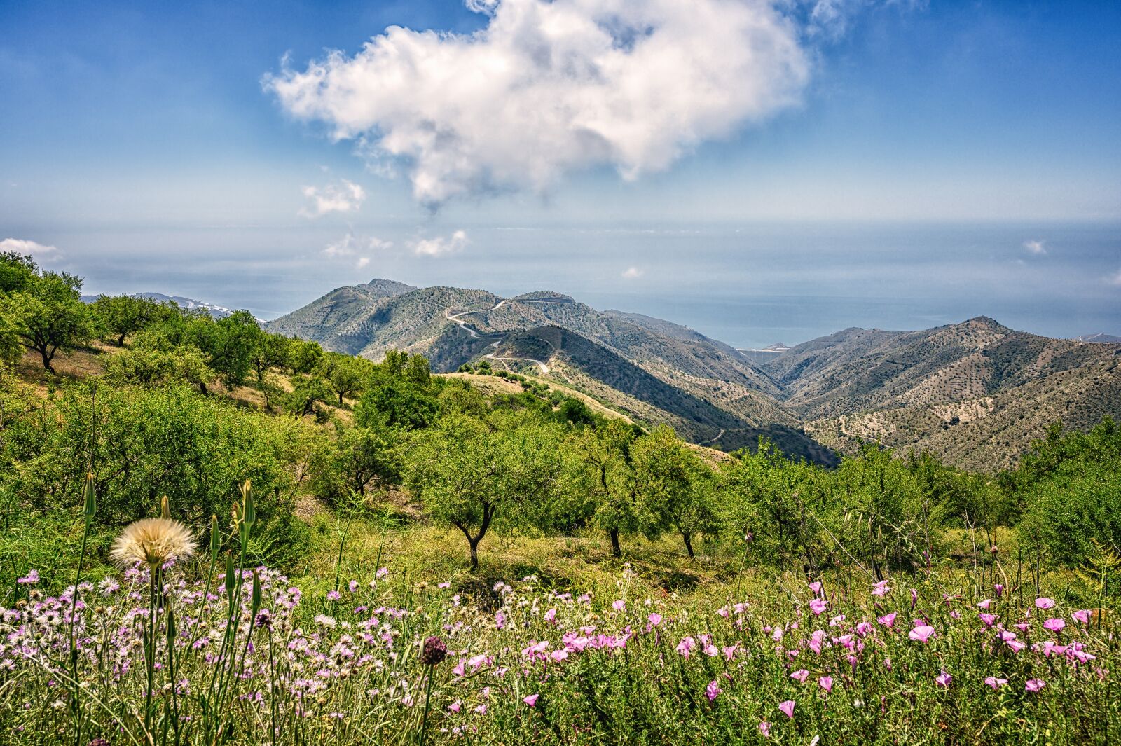 Nikon Z6 sample photo. Mountains, landscape, nature photography