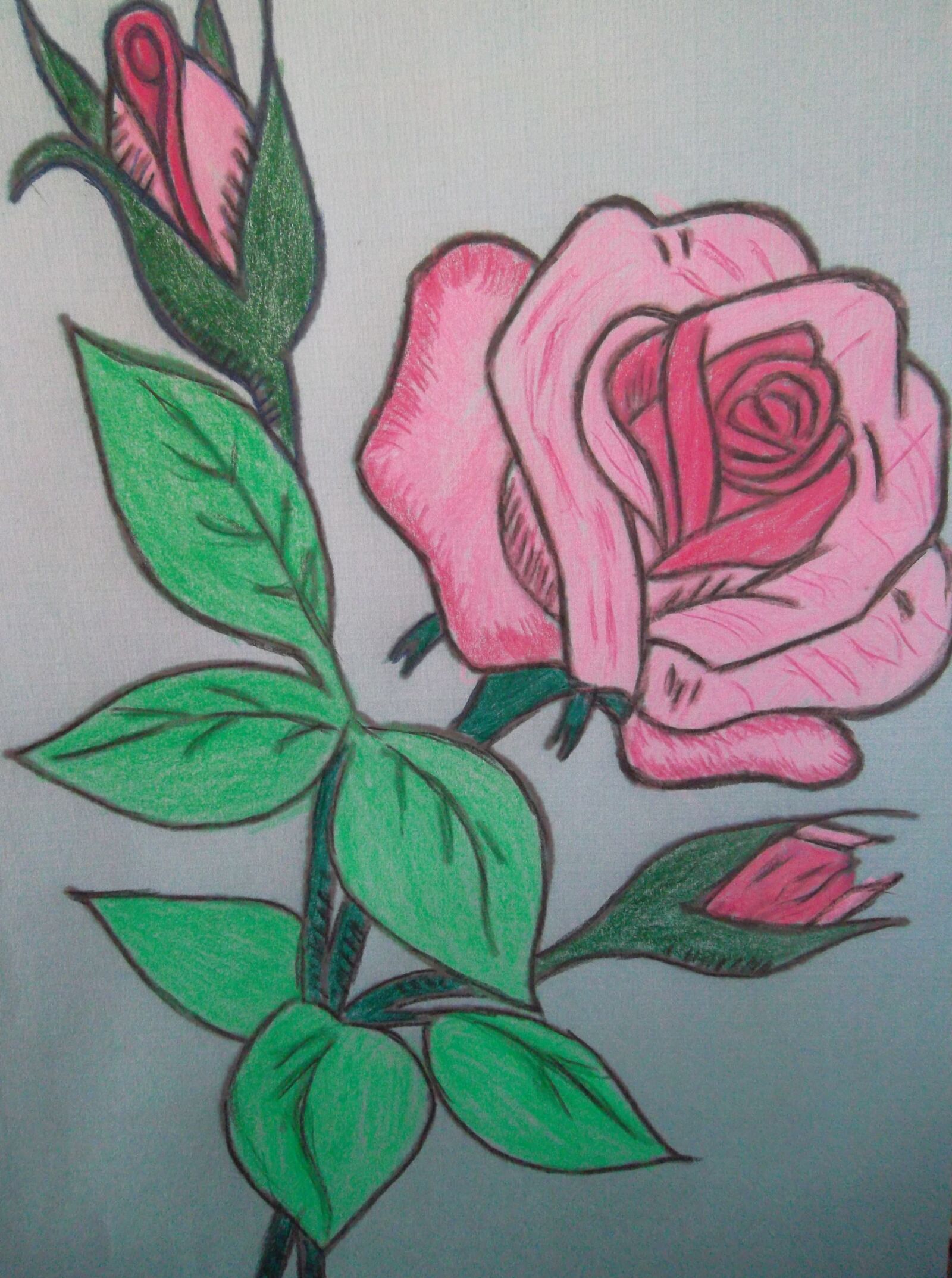 Samsung ST65 sample photo. Pastel, rose, tendre photography