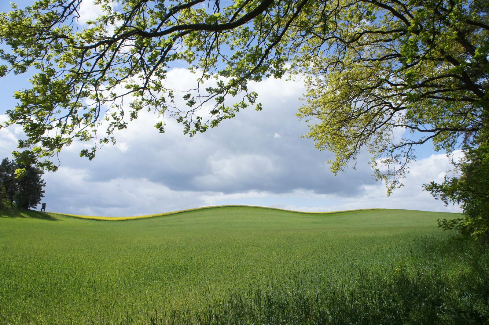 Sony Alpha NEX-3 + Sony E 18-55mm F3.5-5.6 OSS sample photo. Field, clouds, hill photography