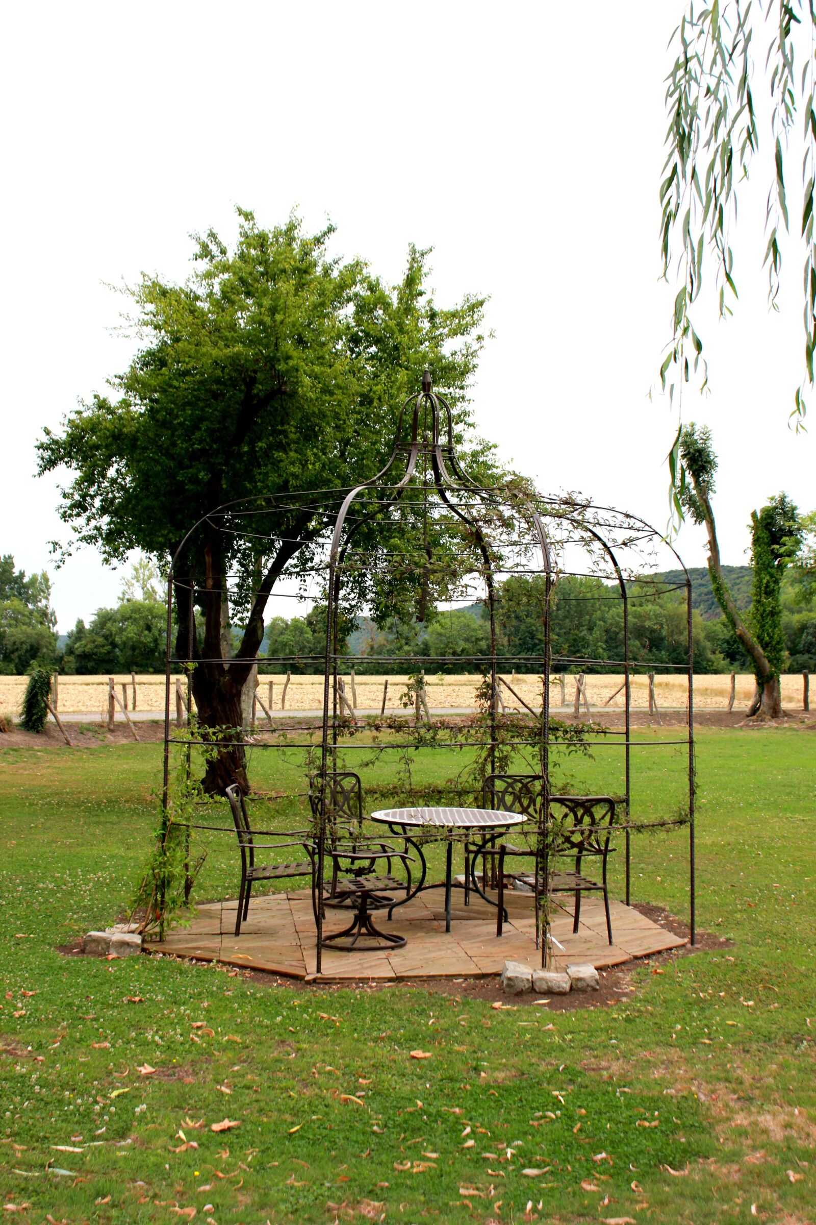 Canon EOS 550D (EOS Rebel T2i / EOS Kiss X4) sample photo. Garden, relaxation, vegetation photography