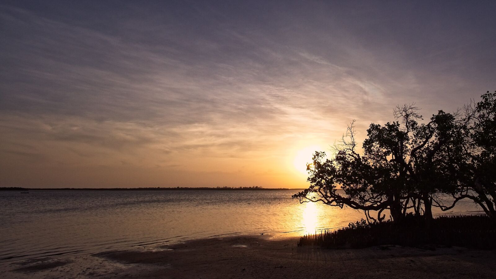 Olympus OM-D E-M1 sample photo. Sunset, sun, nature photography