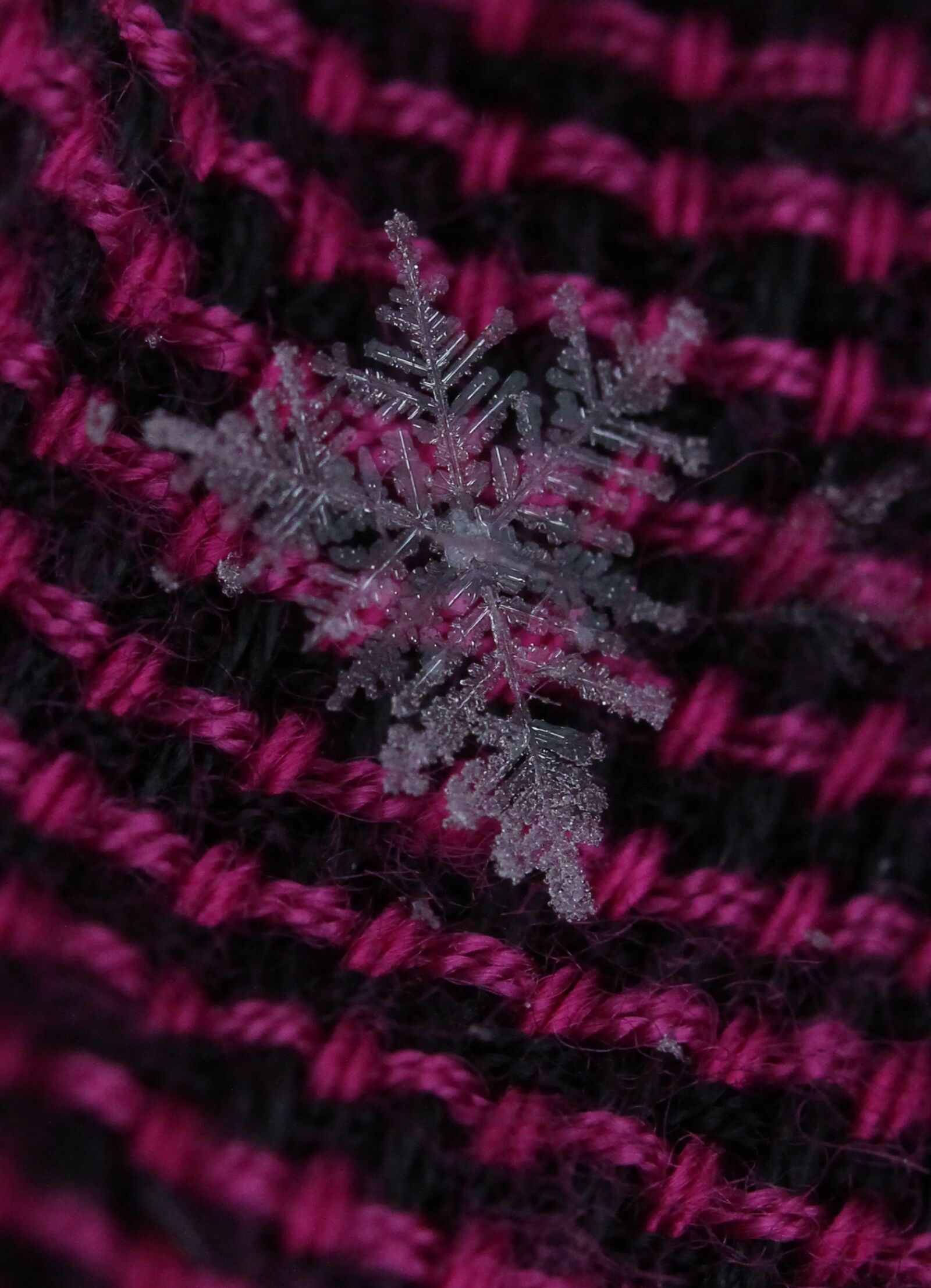Canon EF-S 60mm F2.8 Macro USM sample photo. Snowflake, winter, white photography