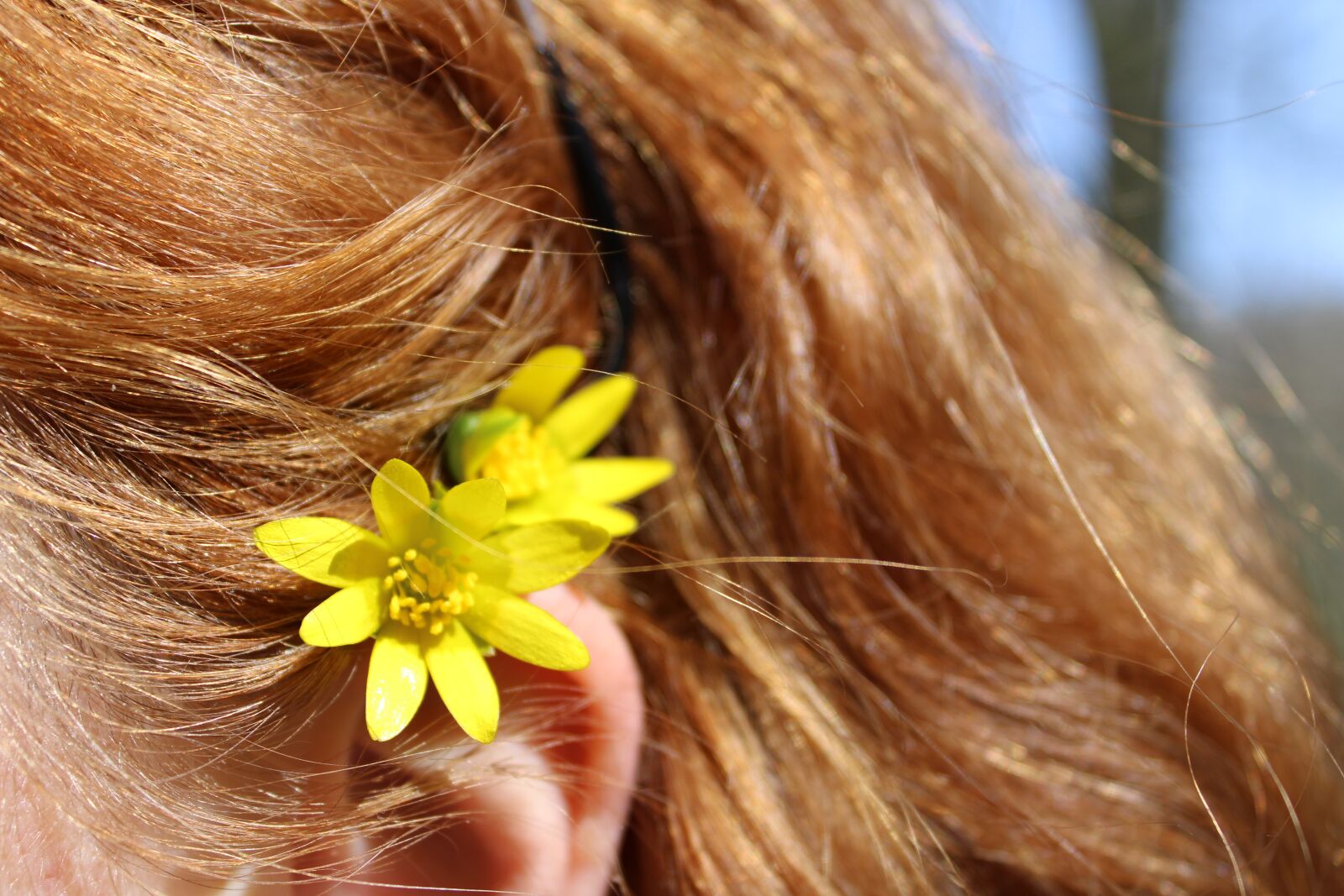 Canon EOS 2000D (EOS Rebel T7 / EOS Kiss X90 / EOS 1500D) sample photo. Flower, hair, red photography