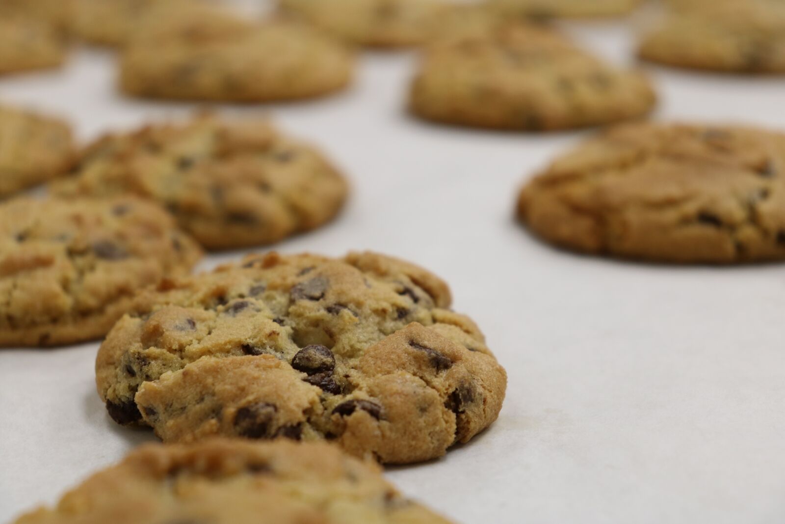 Canon EOS 750D (EOS Rebel T6i / EOS Kiss X8i) sample photo. Cookie, chocolate chip, baking photography