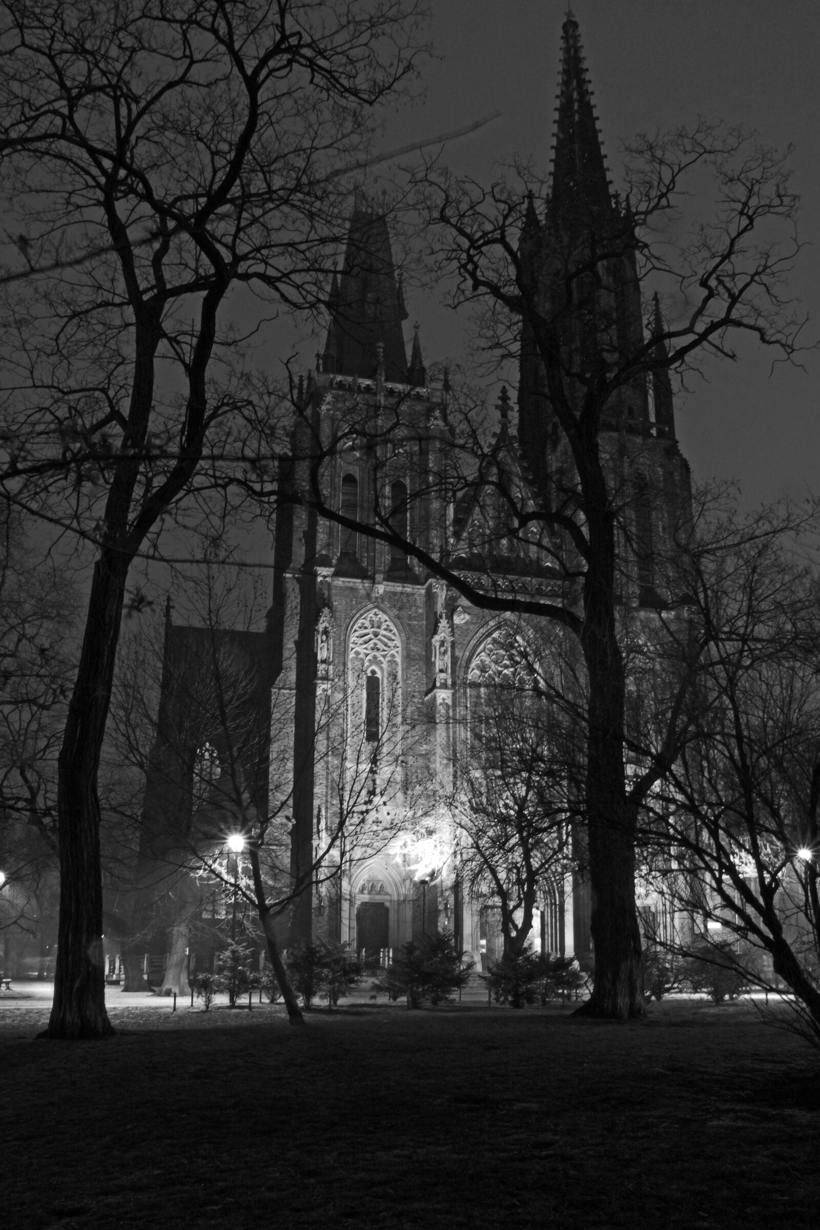 Sony SLT-A65 (SLT-A65V) sample photo. Bw, church, night photography