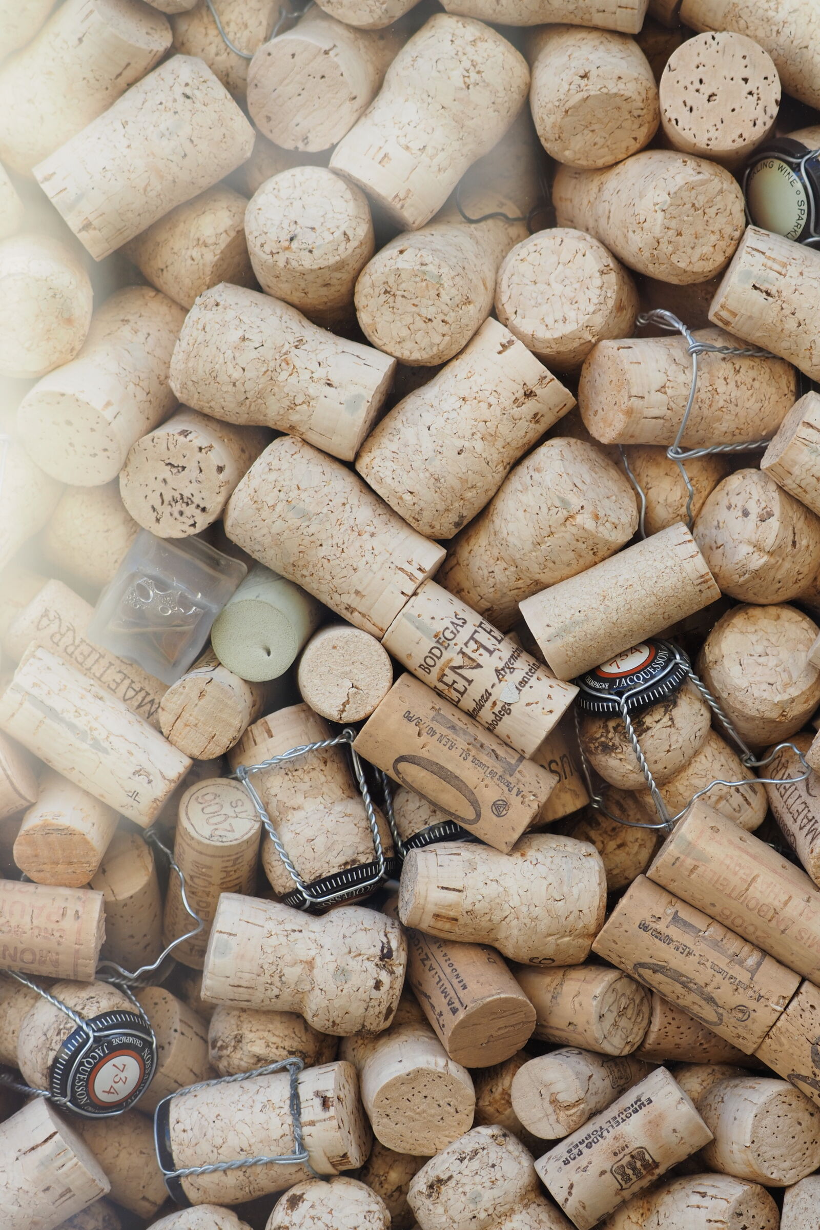 Olympus OM-D E-M1 Mark III sample photo. Corks of consuming photography