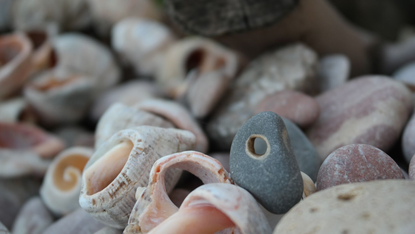 Samsung NX300 sample photo. Stones, beach, seashells photography