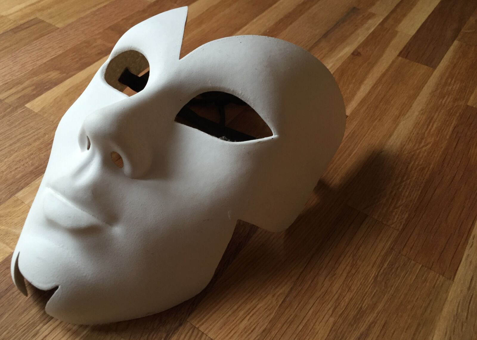 Apple iPhone 6 sample photo. Mask, weird, panel photography