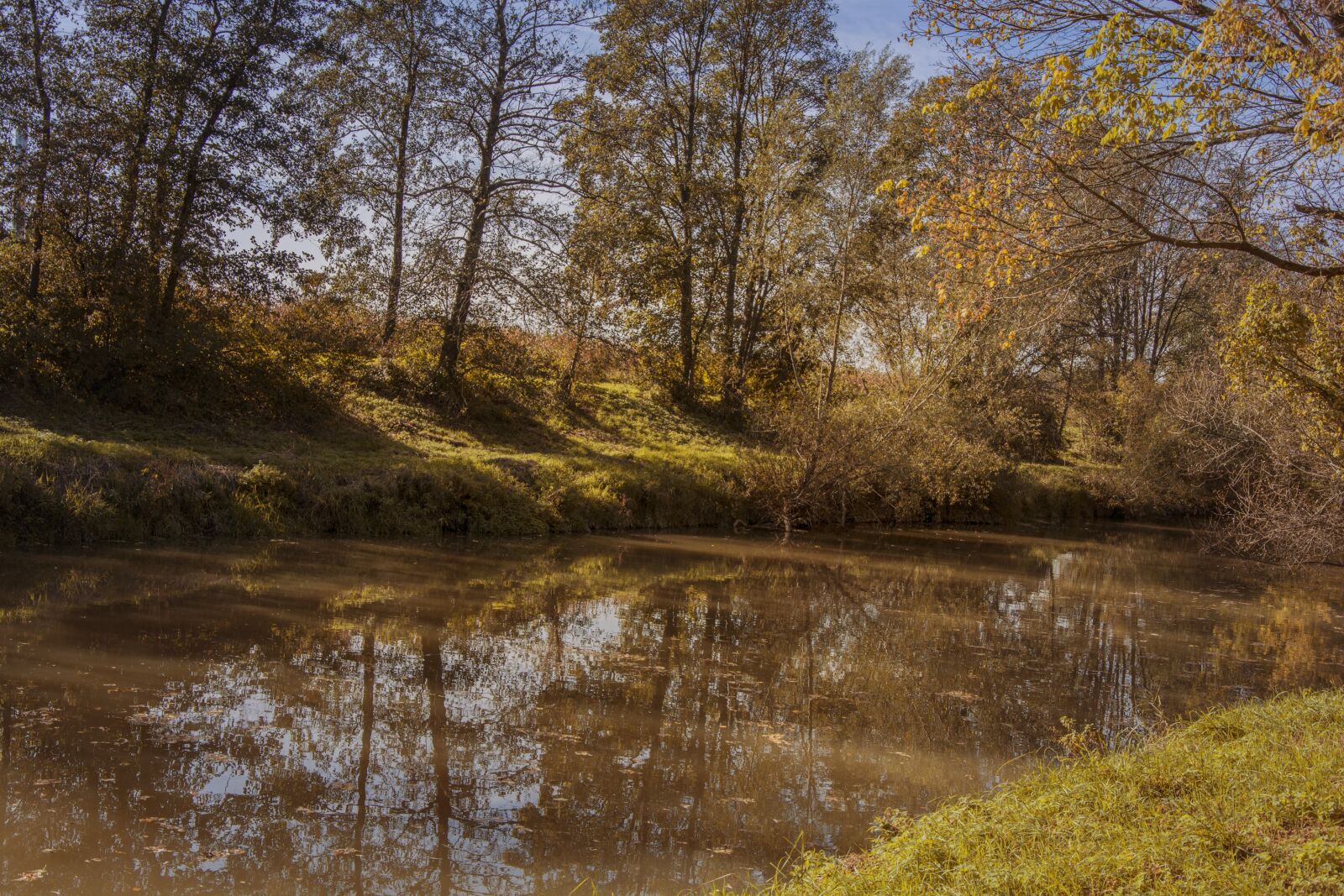 Nikon D5200 sample photo. Autumn, fall foliage, leaves photography