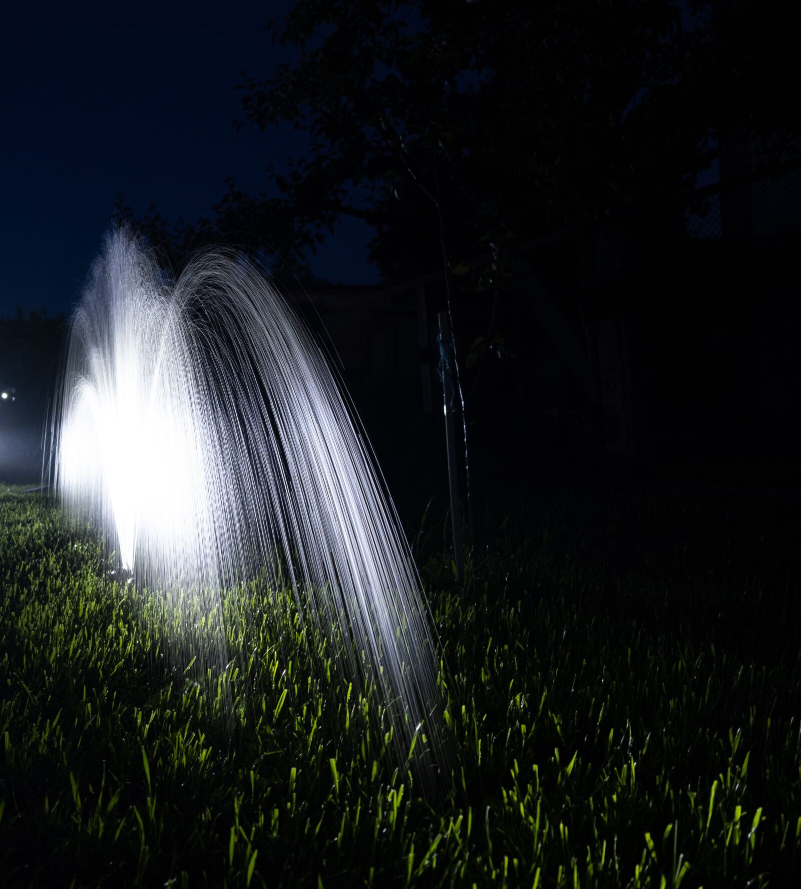 Fujifilm X-T3 + Fujifilm XF 18-55mm F2.8-4 R LM OIS sample photo. Water, watering, lawn photography