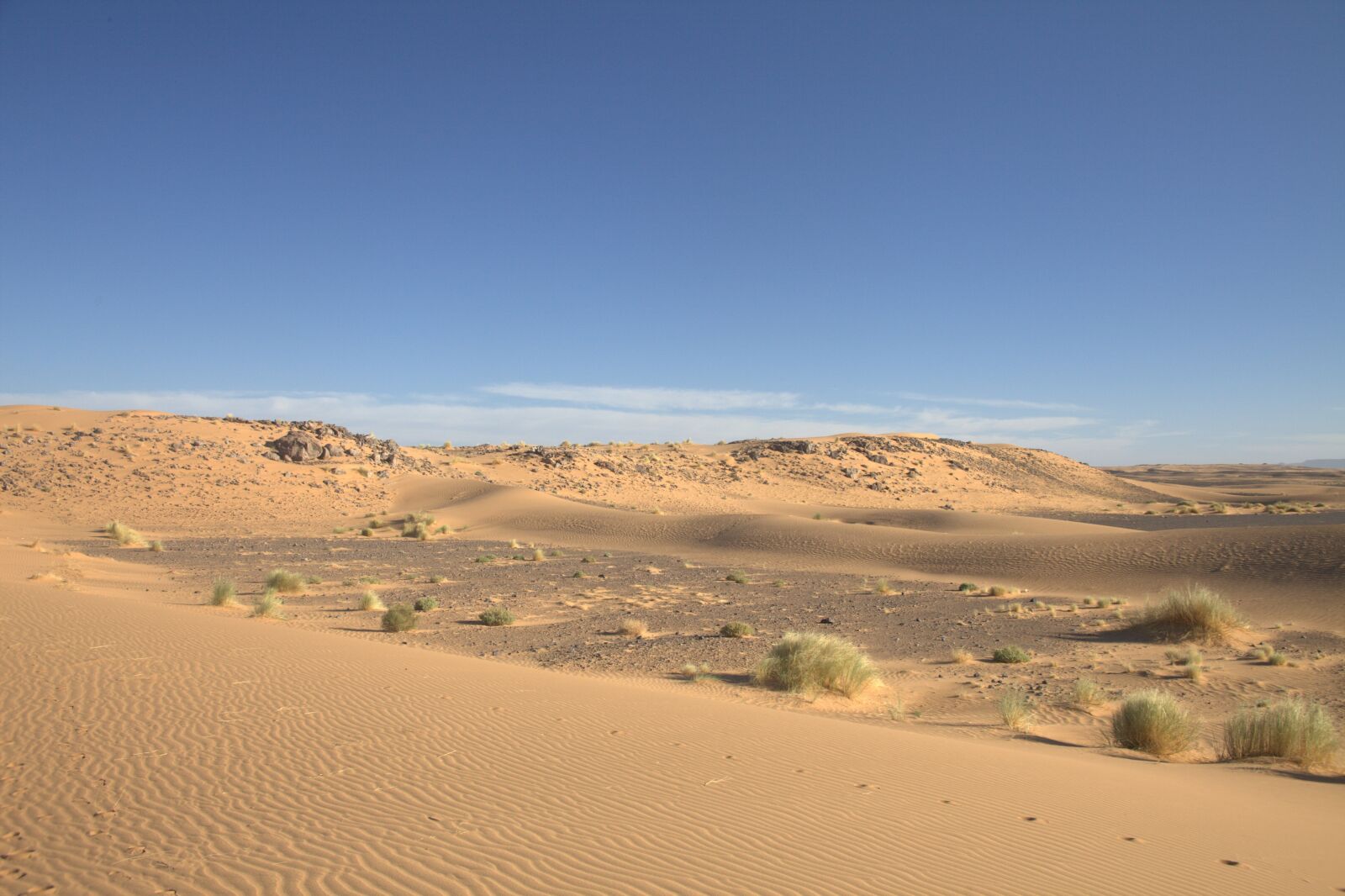 Canon EOS 5D Mark II sample photo. Desert, dunes, sand photography