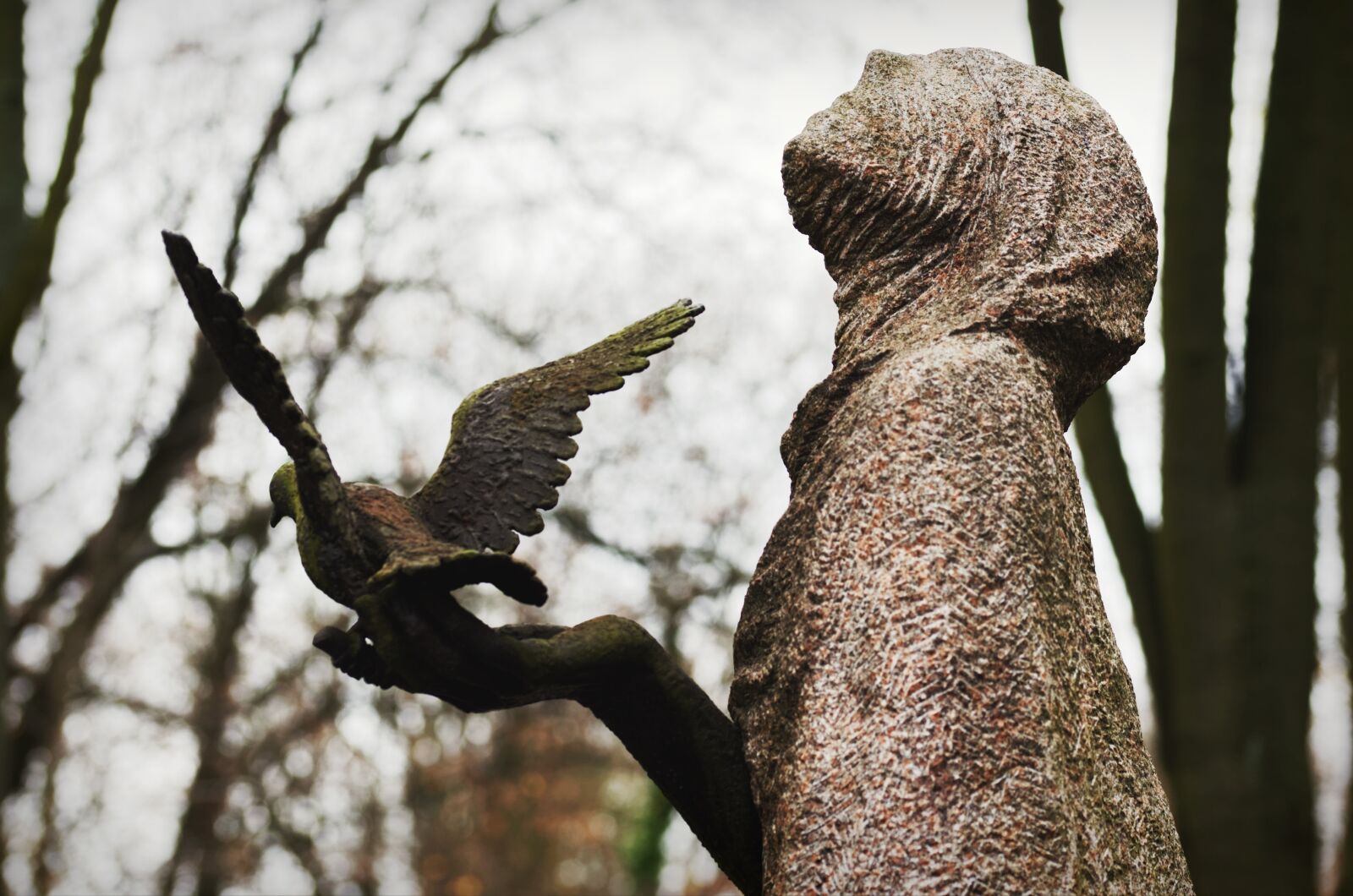 Nikon D5100 sample photo. Sculpture, statue, stone photography