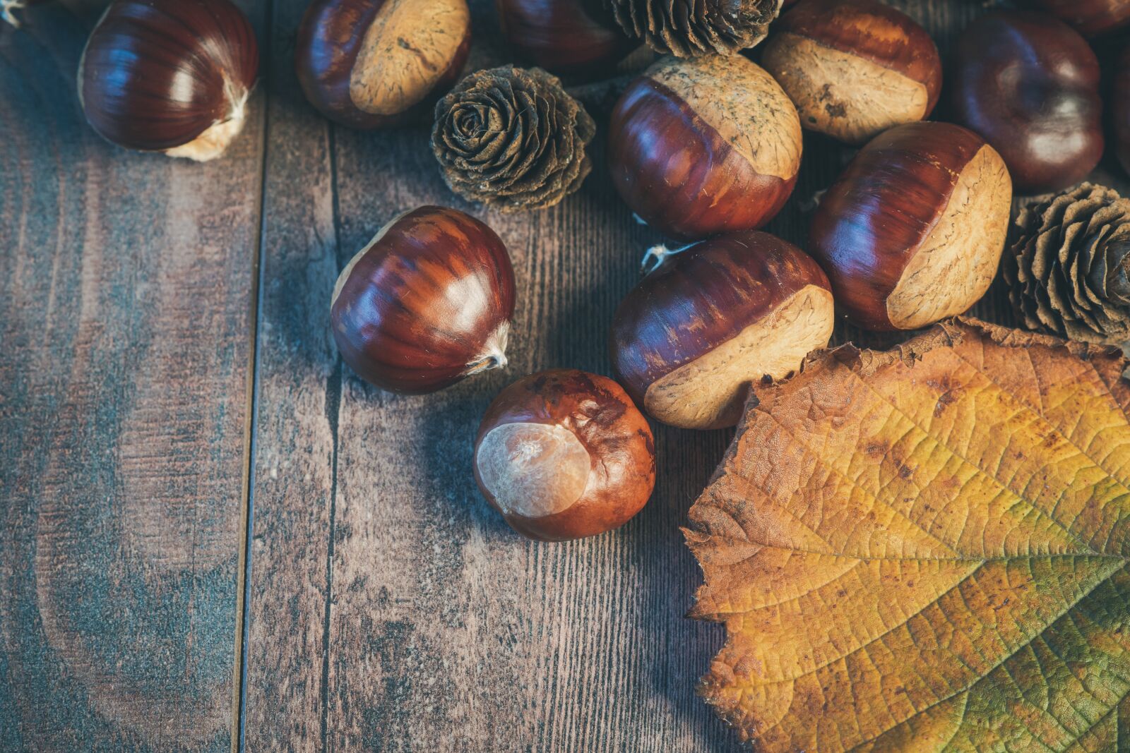 Sony DT 50mm F1.8 SAM sample photo. Chestnuts, sheet, autumn photography