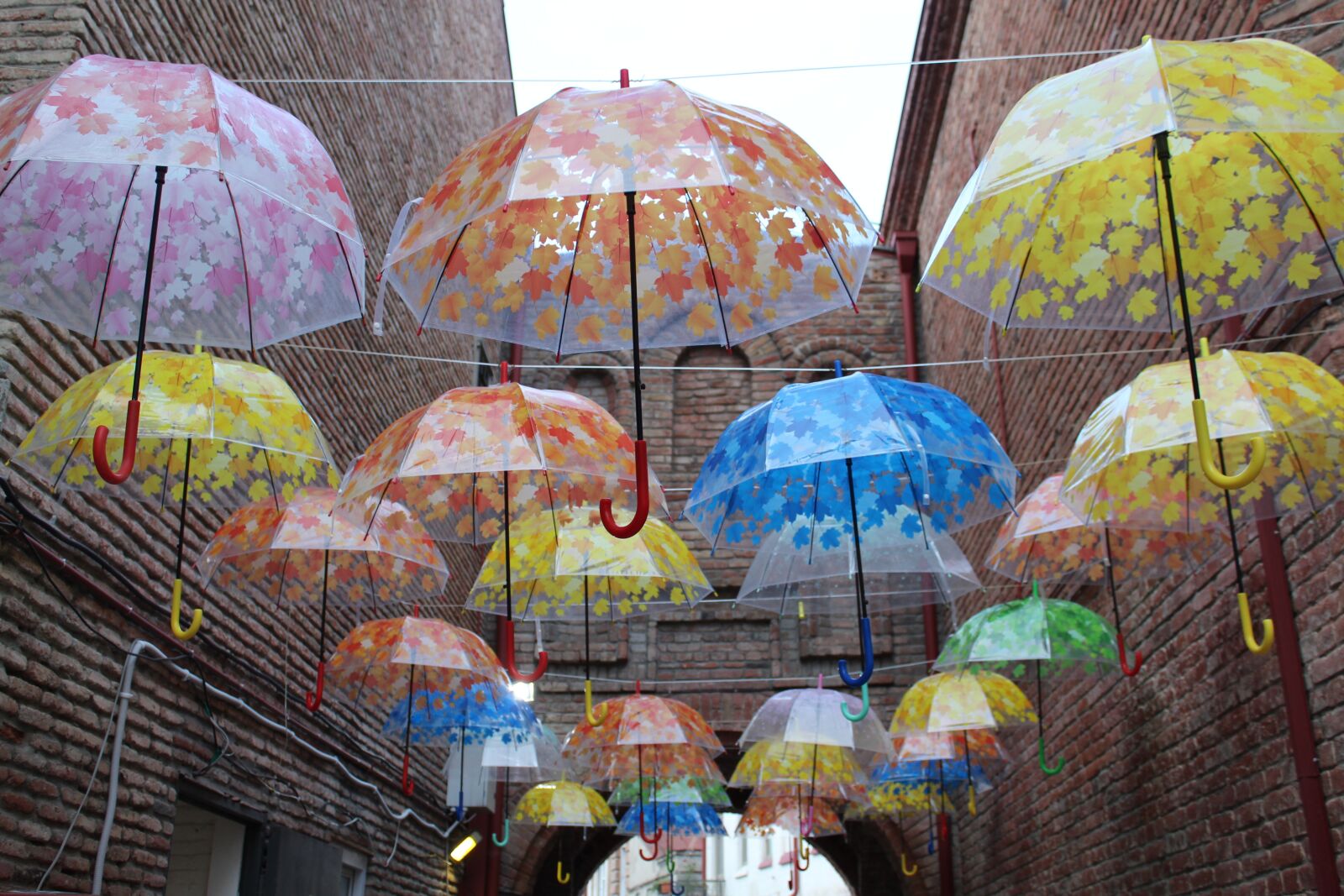 Canon EOS 1300D (EOS Rebel T6 / EOS Kiss X80) sample photo. Umbrellas, art, gallery photography