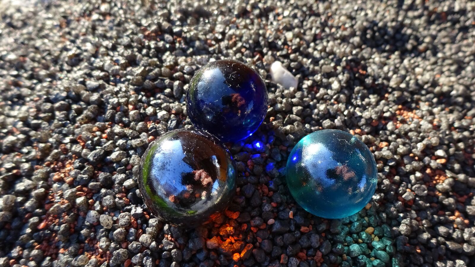 Sony Cyber-shot DSC-WX350 sample photo. Marble, bee, summer photography